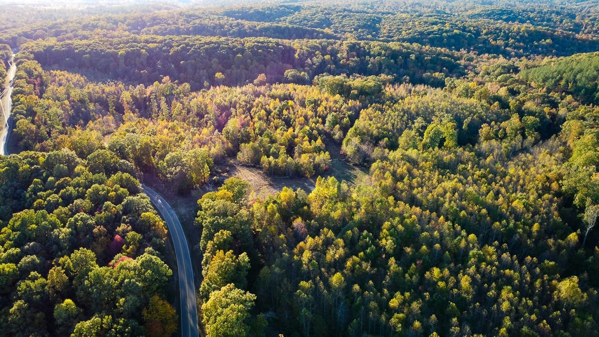 1 Fire Tower Road