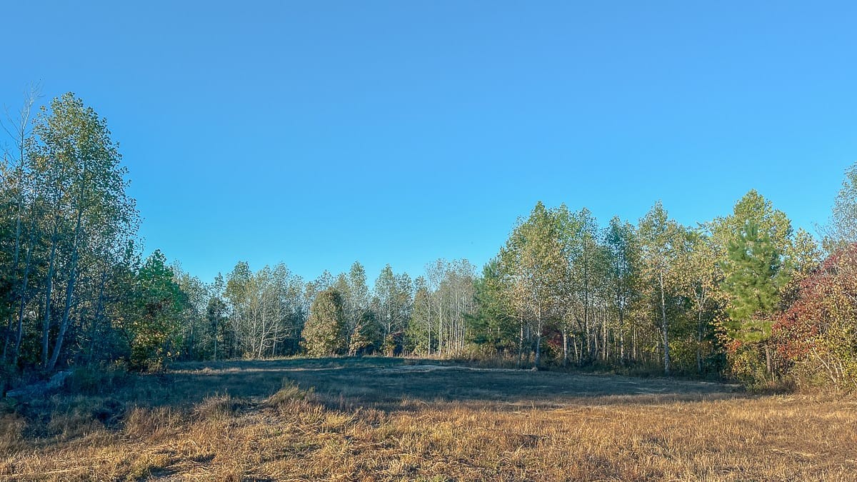 1 Fire Tower Road