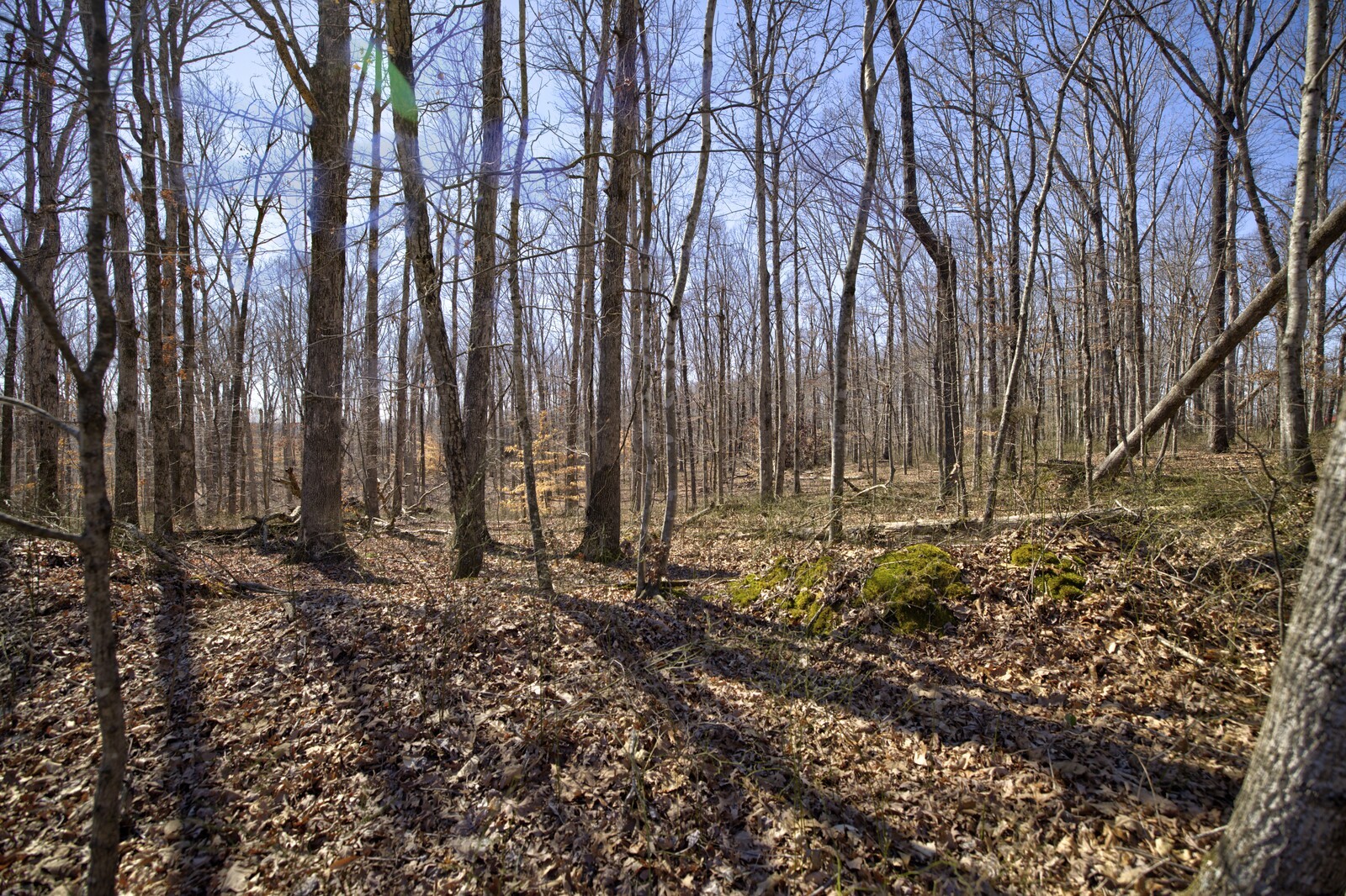 1 Keel Hollow Ln