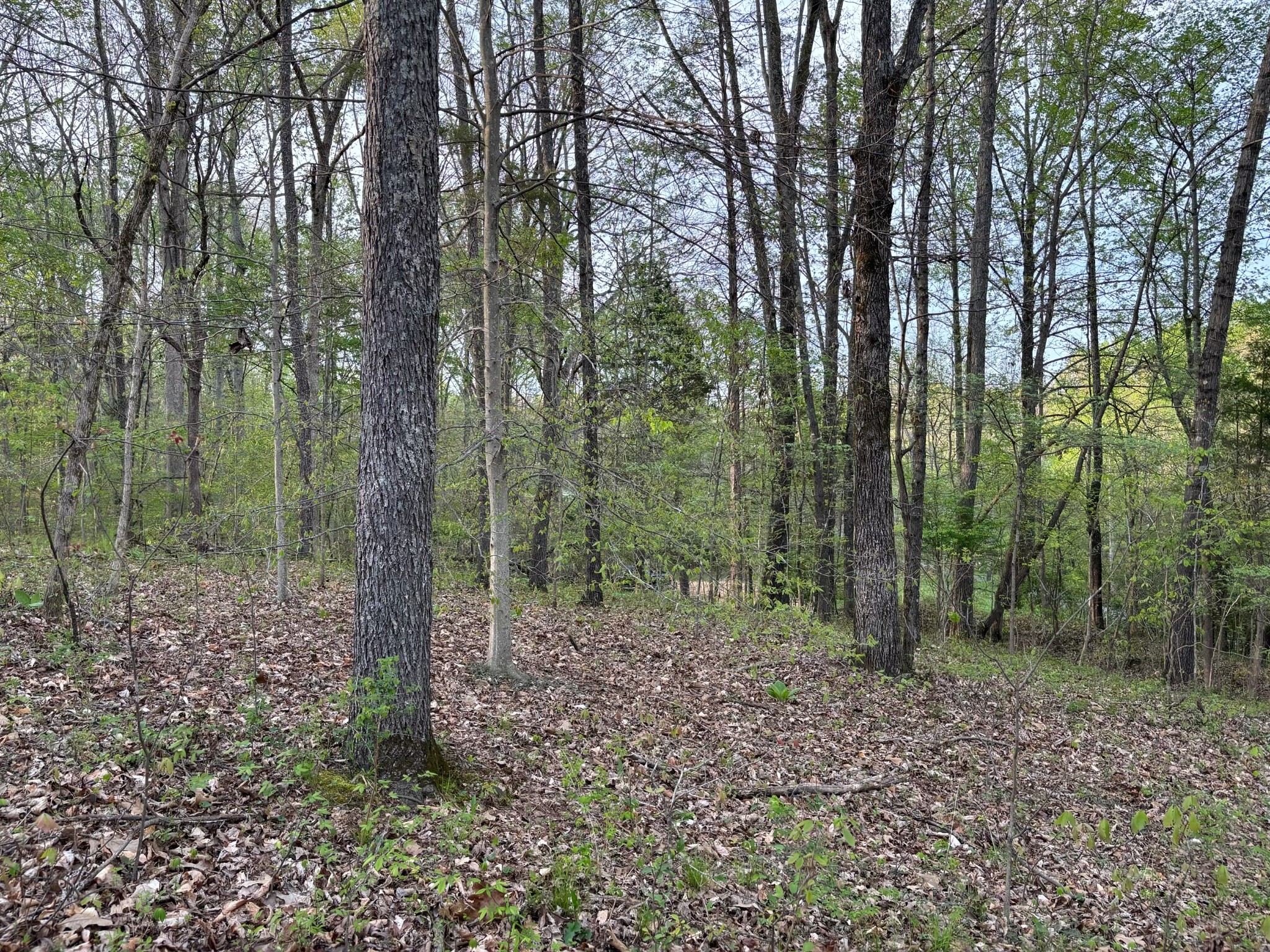 5220 Denmark Rd