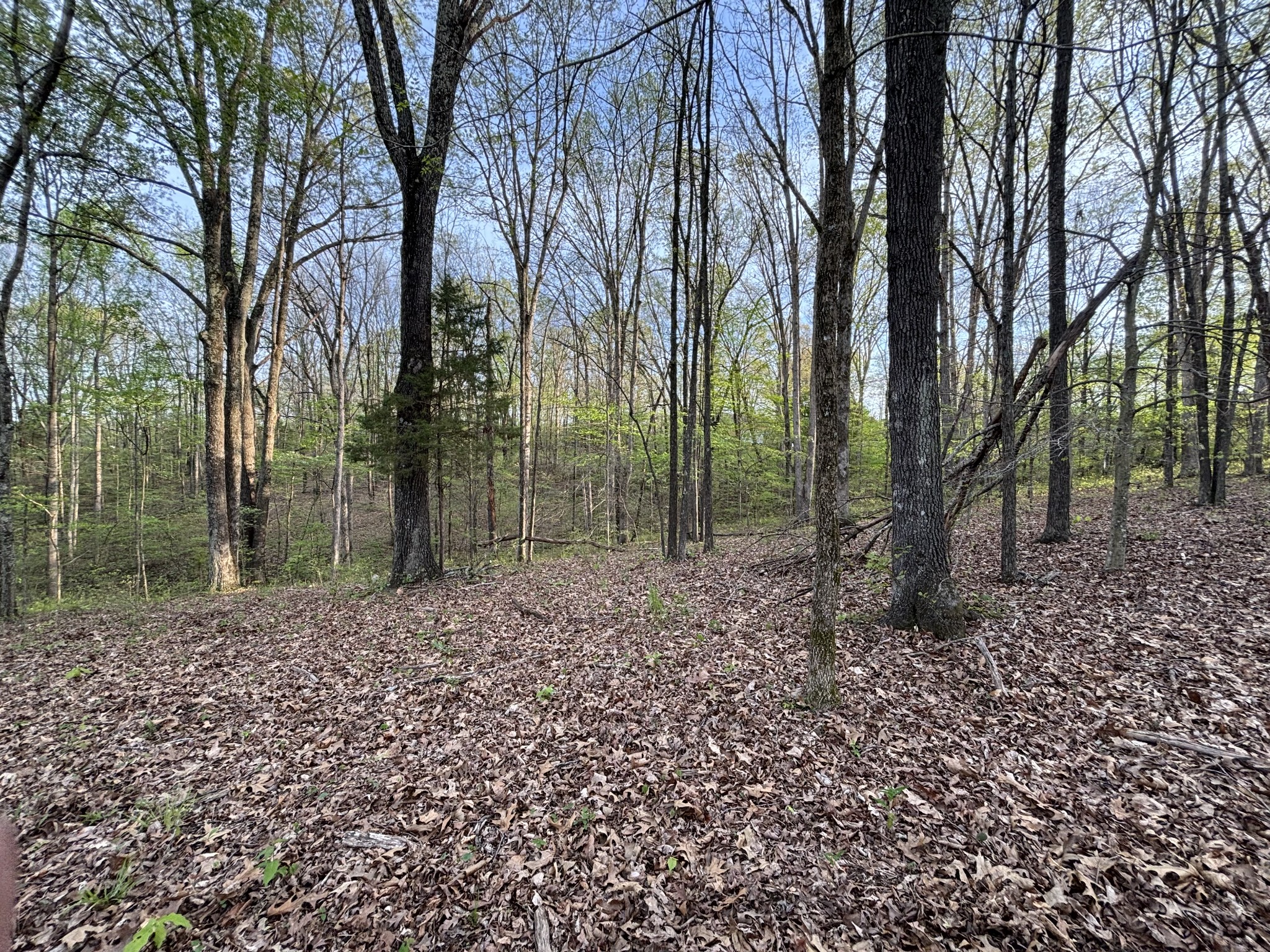 5220 Denmark Rd