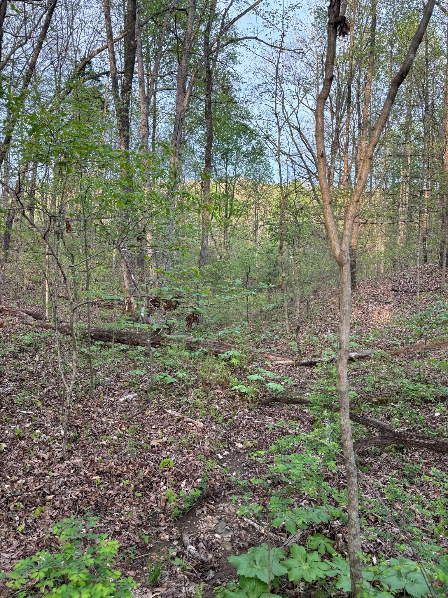 5220 Denmark Rd