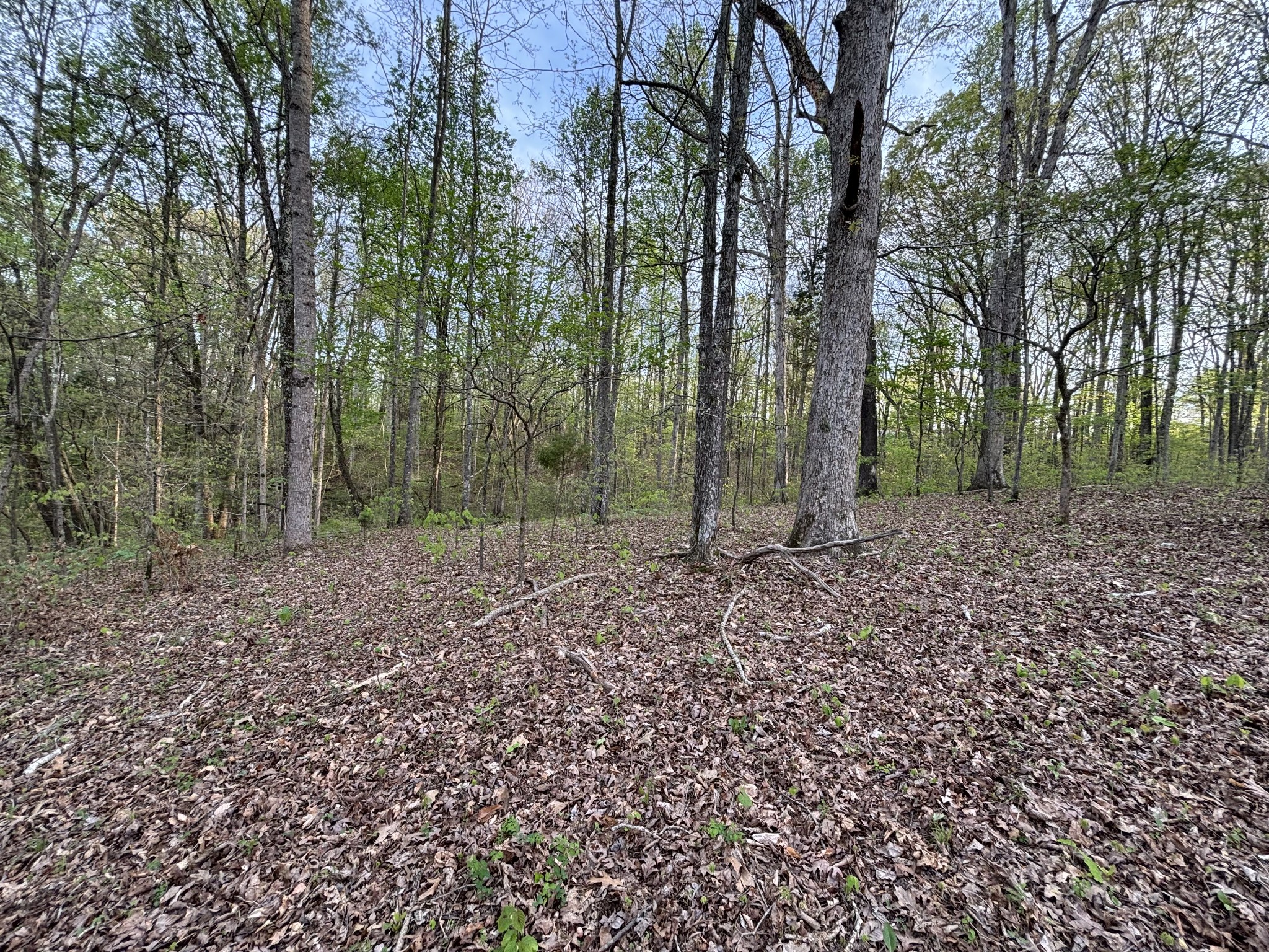 5220 Denmark Rd
