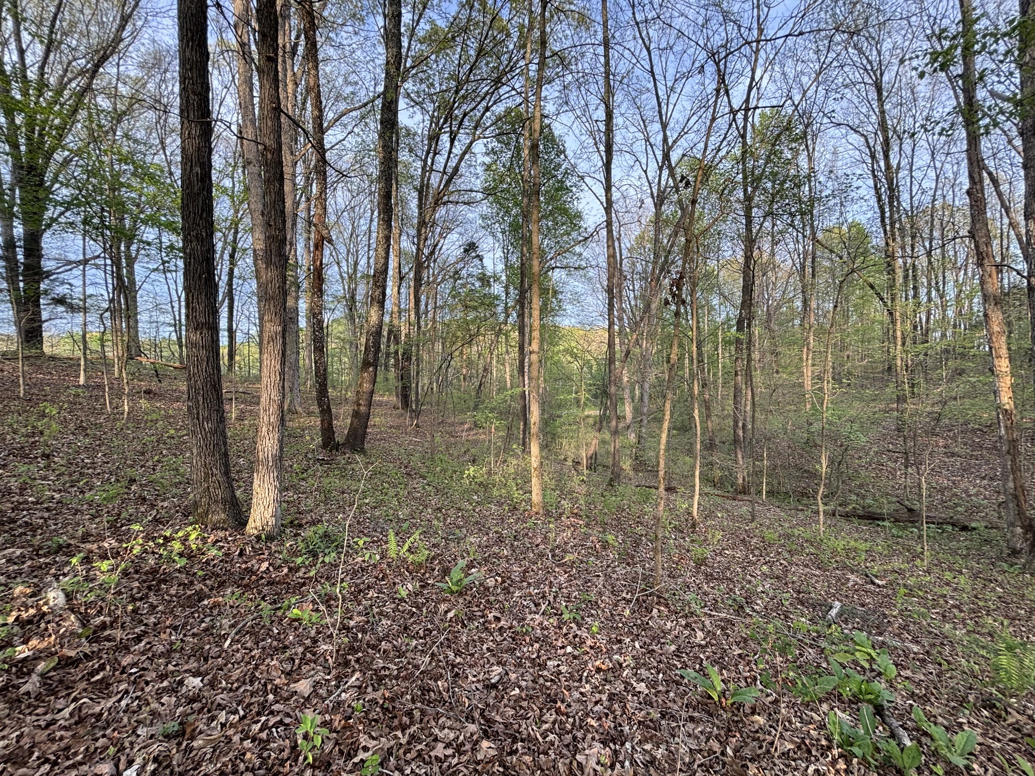 5220 Denmark Rd