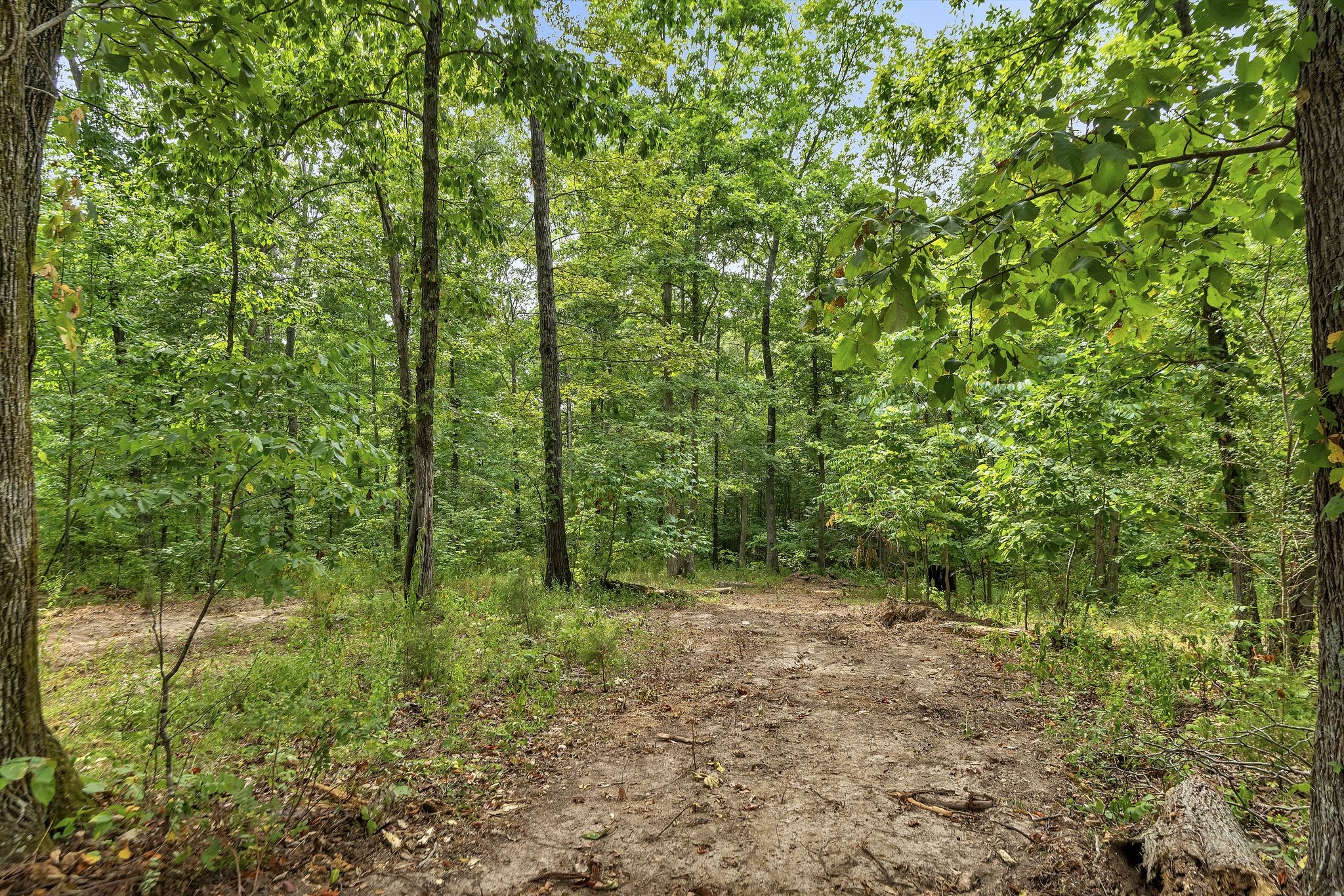 10498 Missionary Ridge Rd