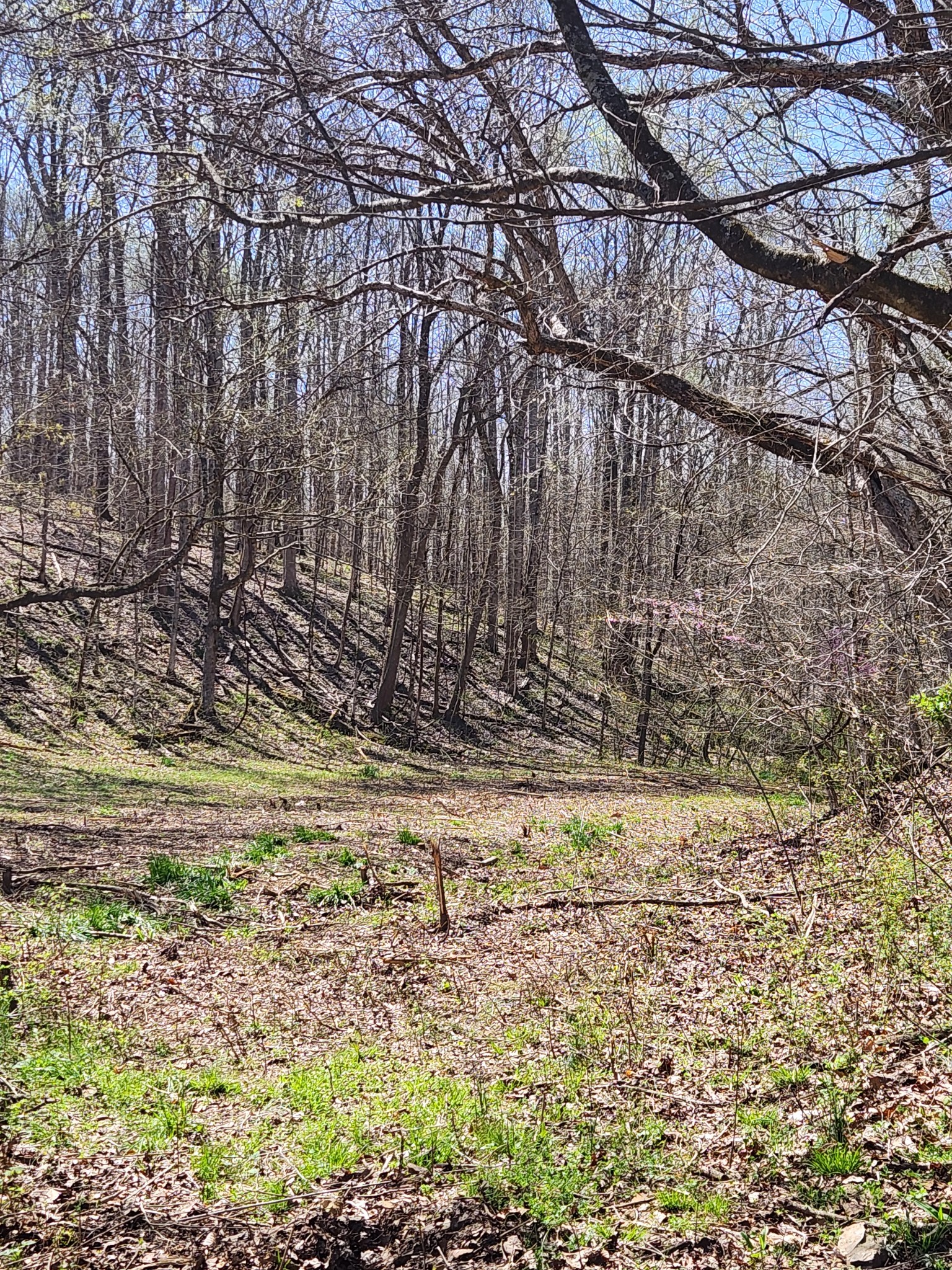 0 Lowery Cemetery Rd