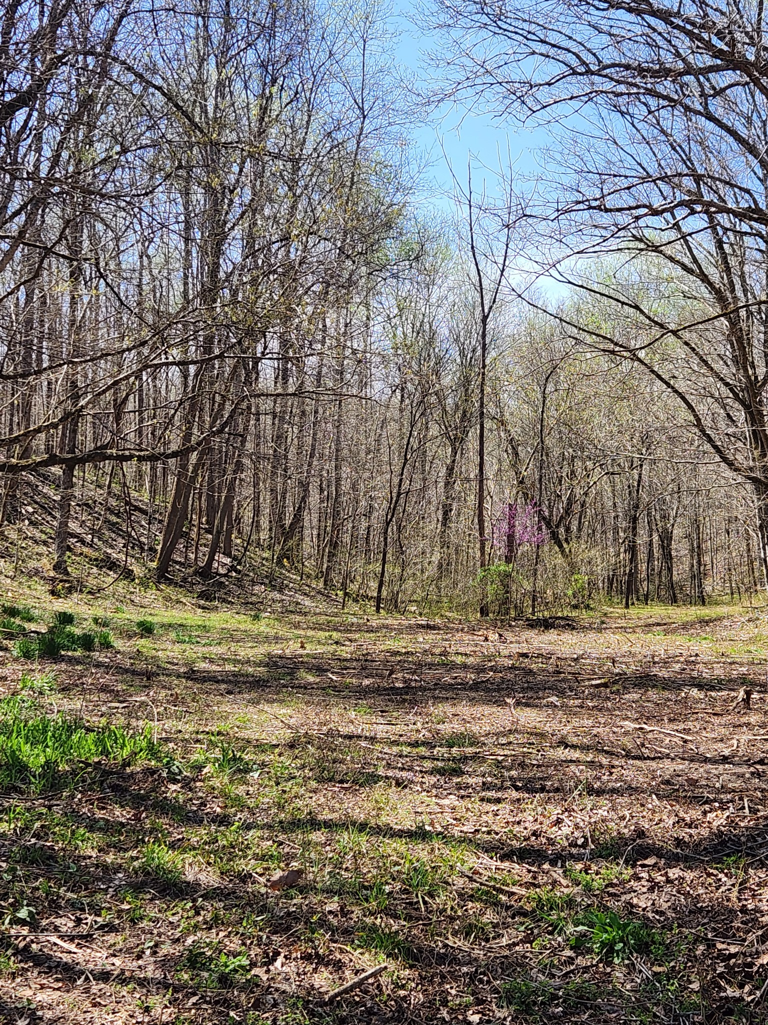 0 Lowery Cemetery Rd