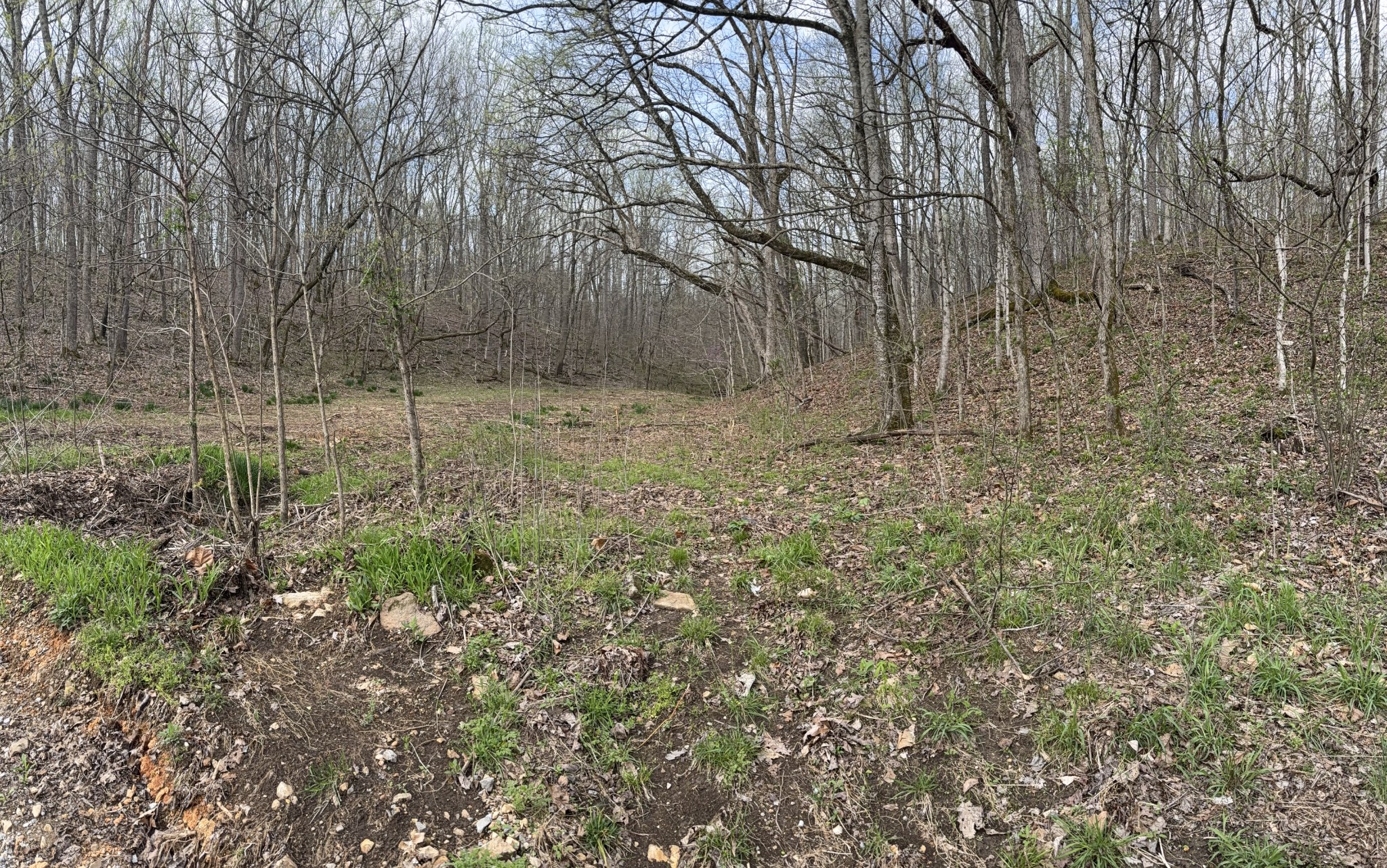 0 Lowery Cemetery Rd