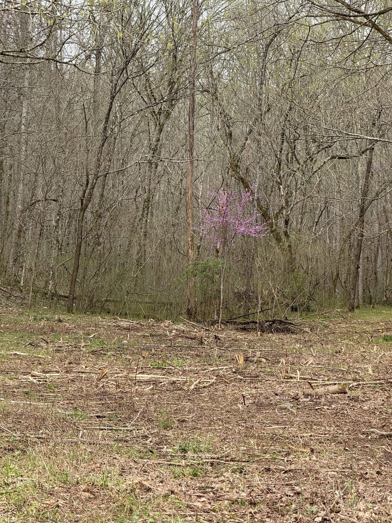 0 Lowery Cemetery Rd
