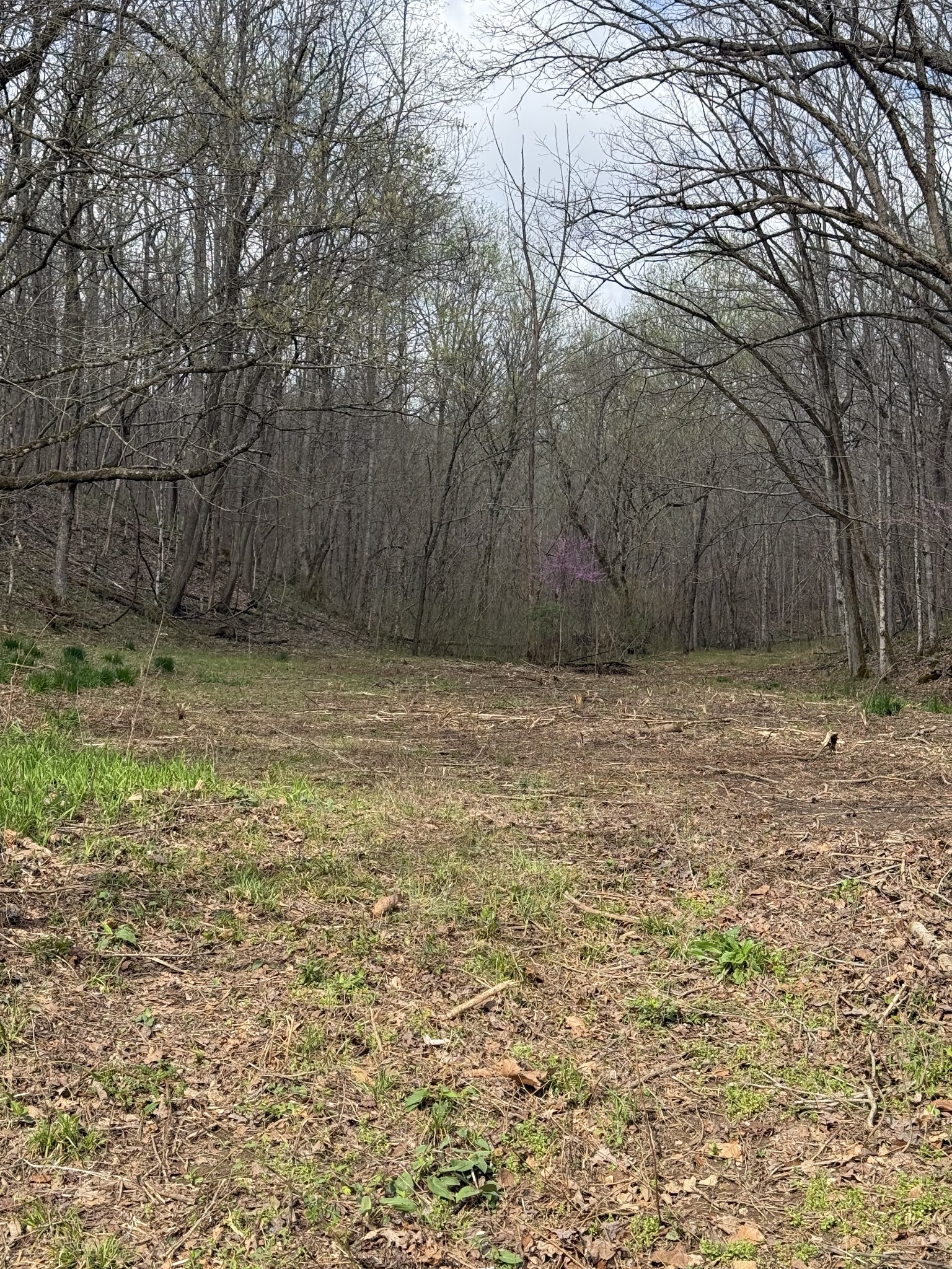 0 Lowery Cemetery Rd