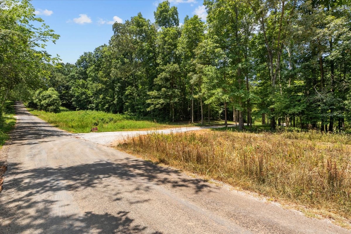 123 Thicket Ln