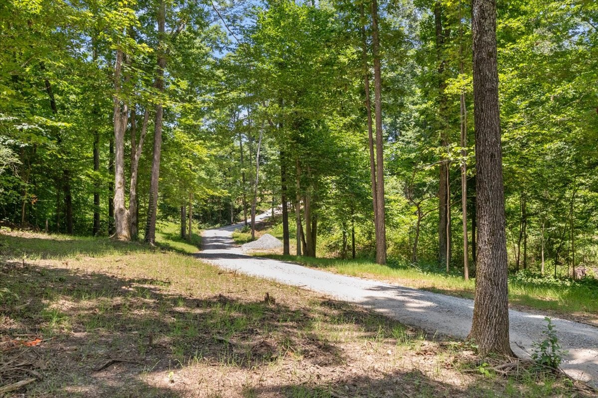 123 Thicket Ln