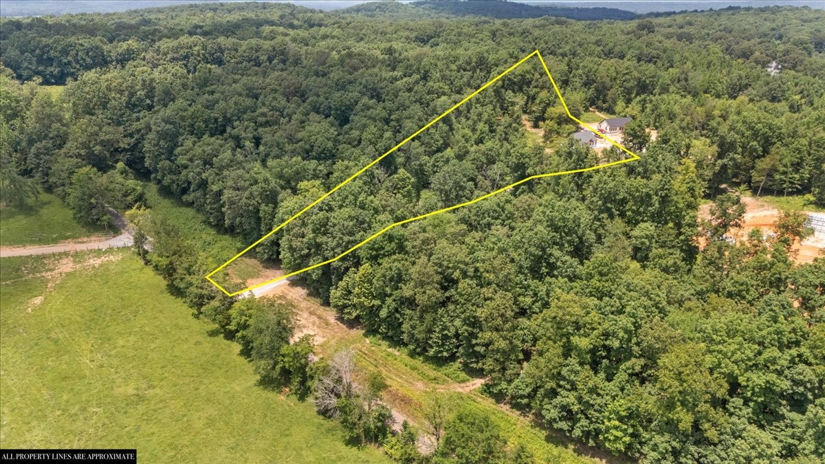 123 Thicket Ln