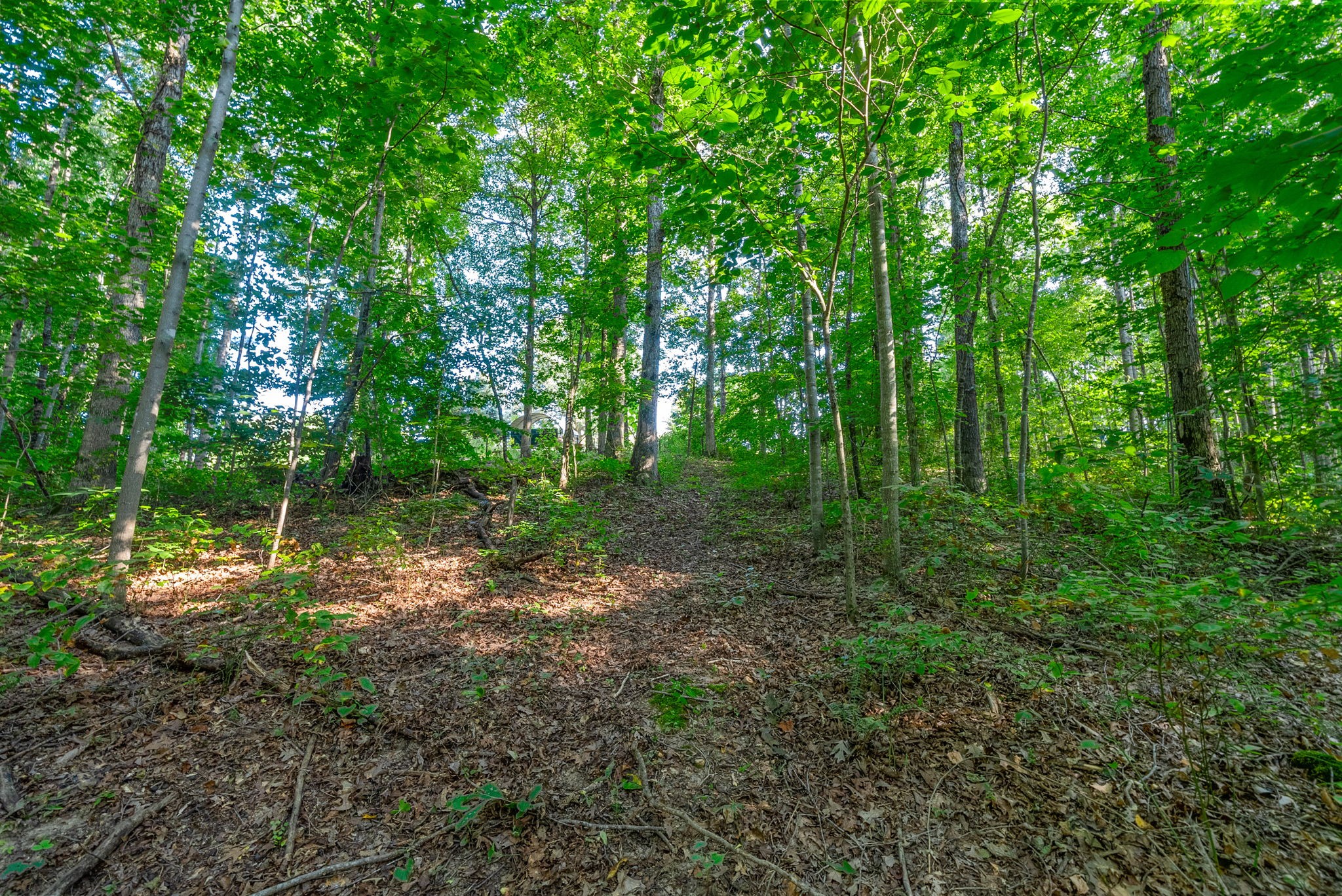 199 Dogwood Dr