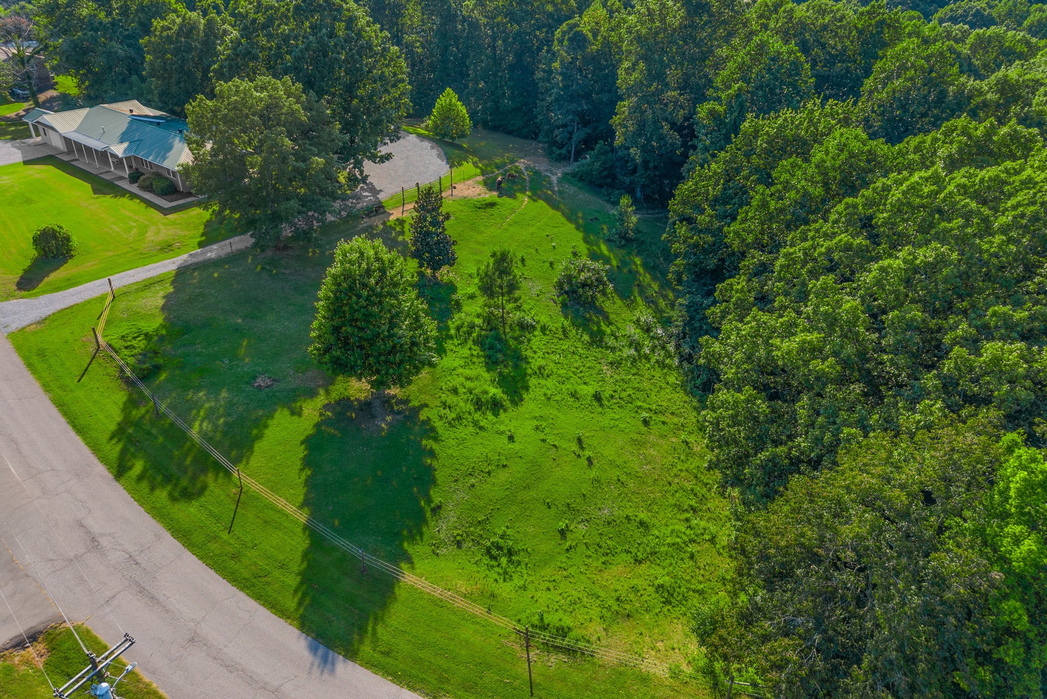 199 Dogwood Dr