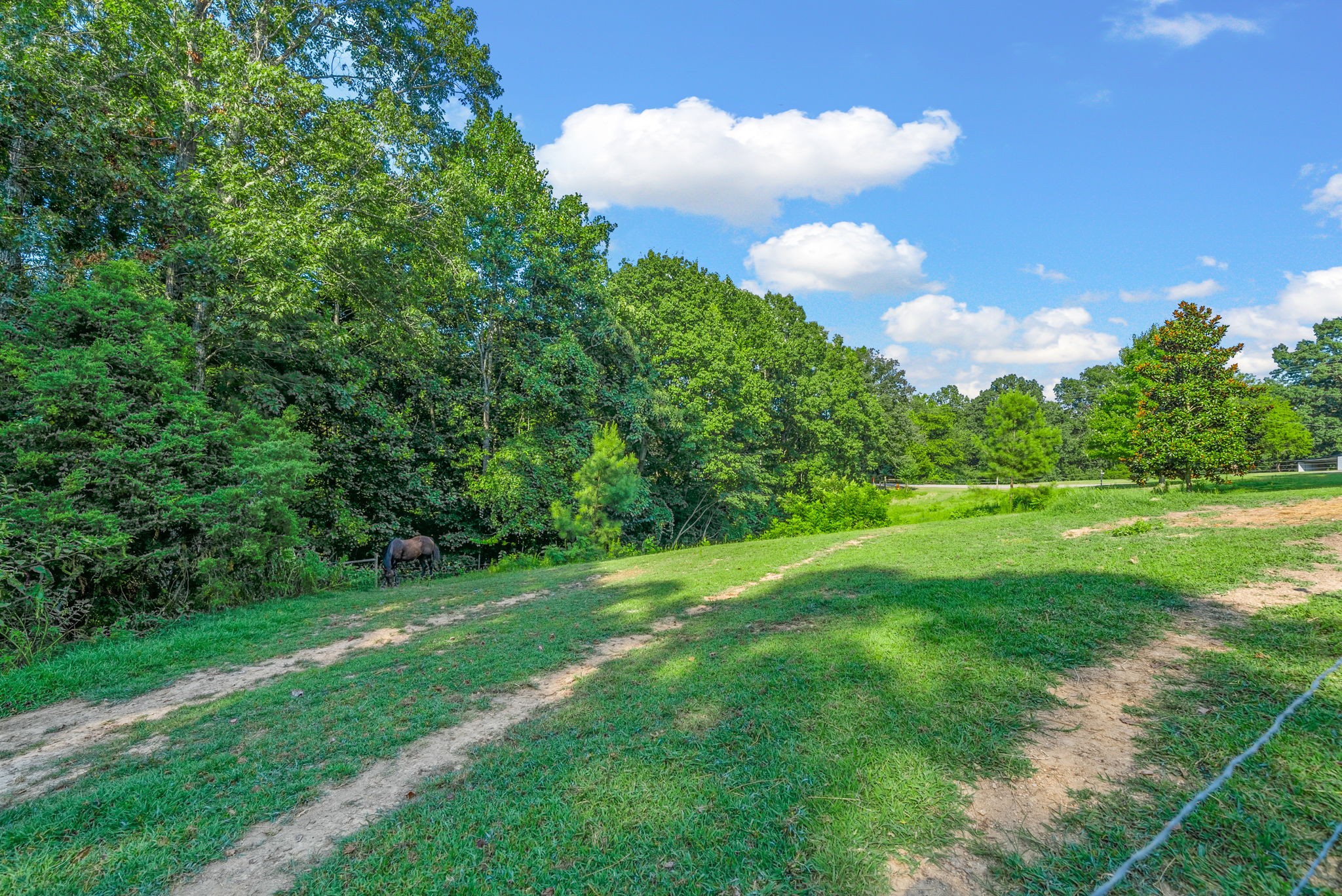 199 Dogwood Dr