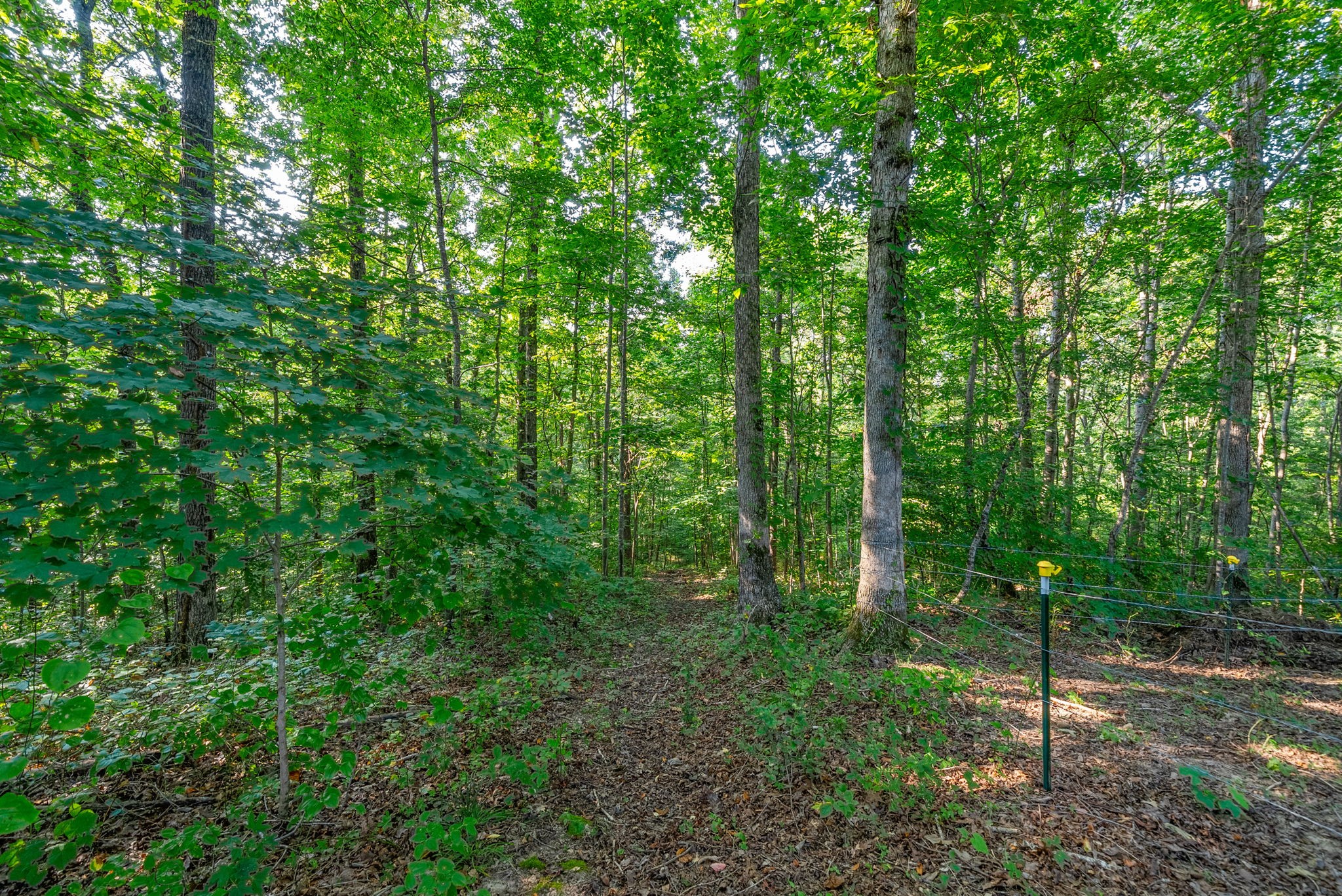 199 Dogwood Dr