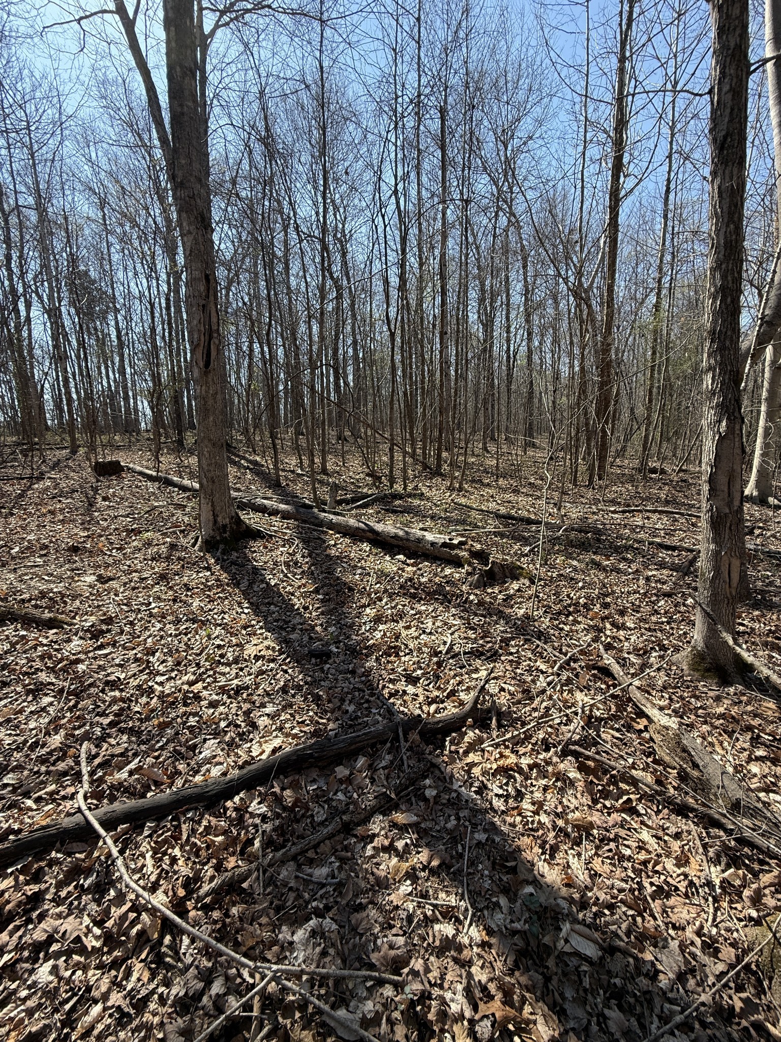 0 Brigham Branch Rd