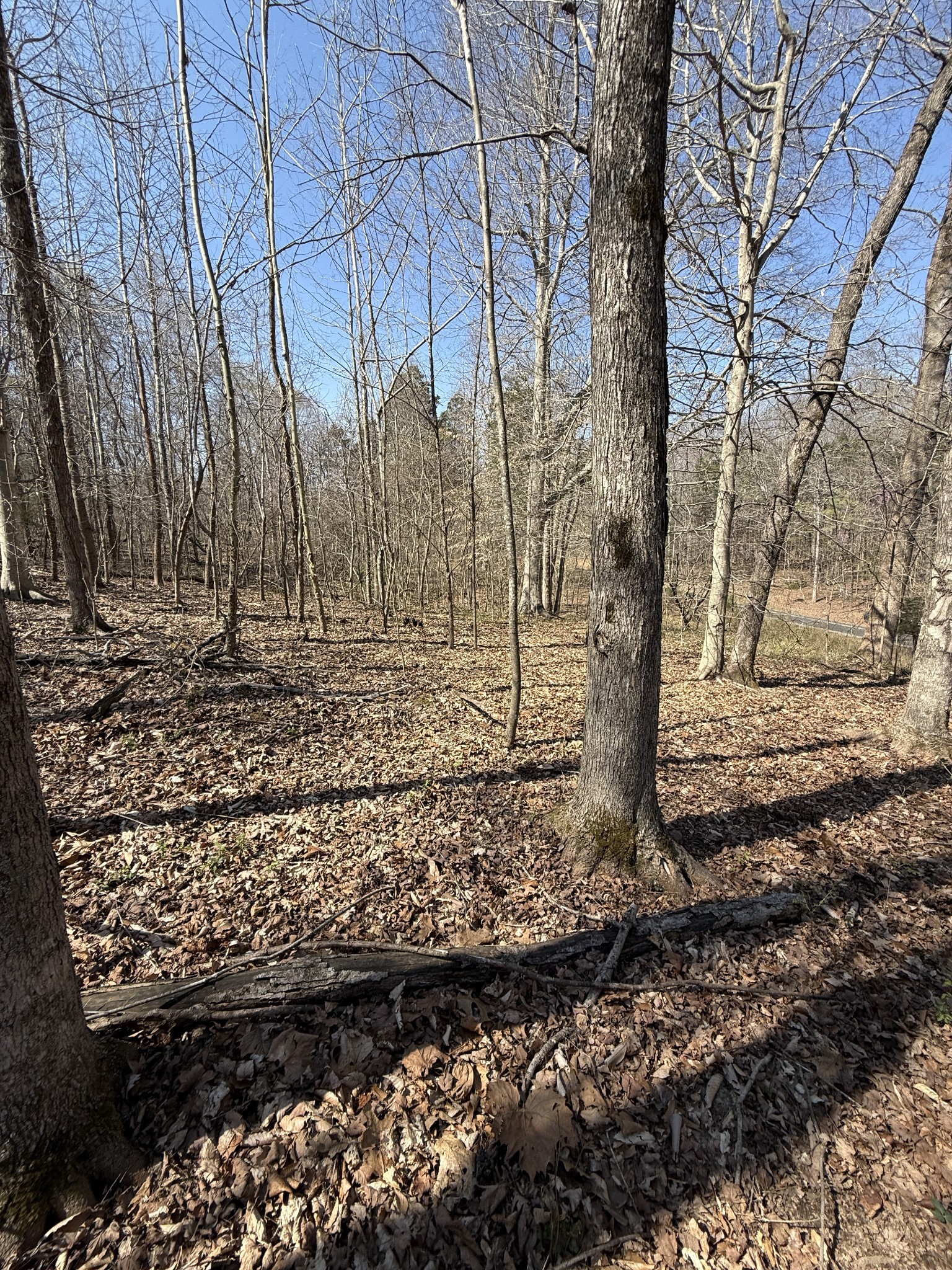 0 Brigham Branch Rd