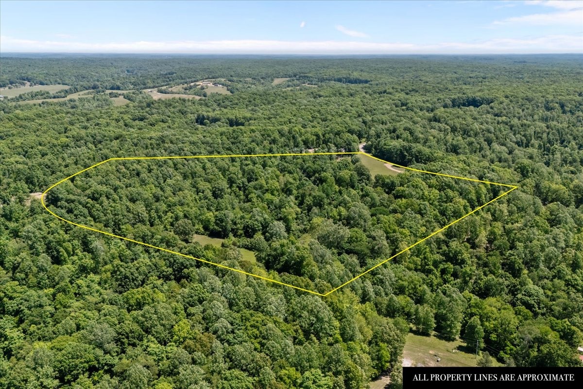 254 Shiloh Hollow Rd