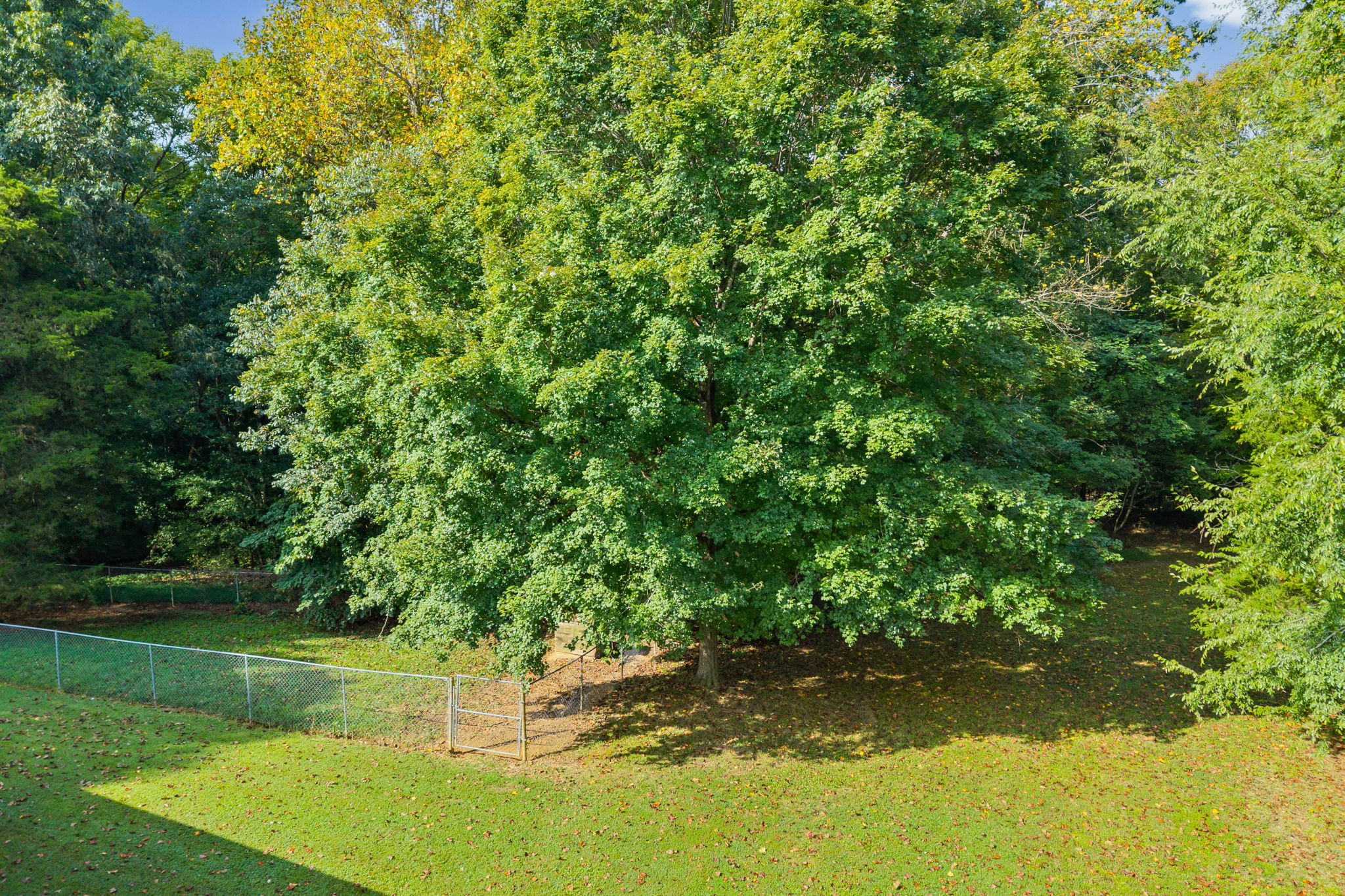 370 Grices Creek Rd