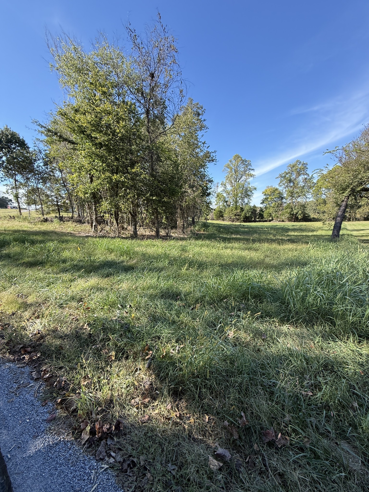 Grassy rural property with a central stand of trees beside a gravel road.