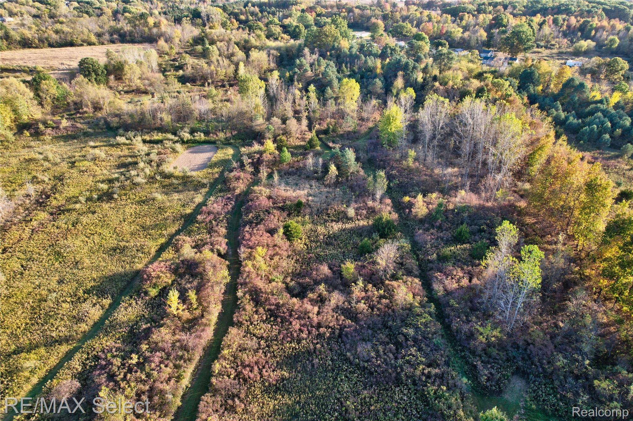 12375 Baldwin Road