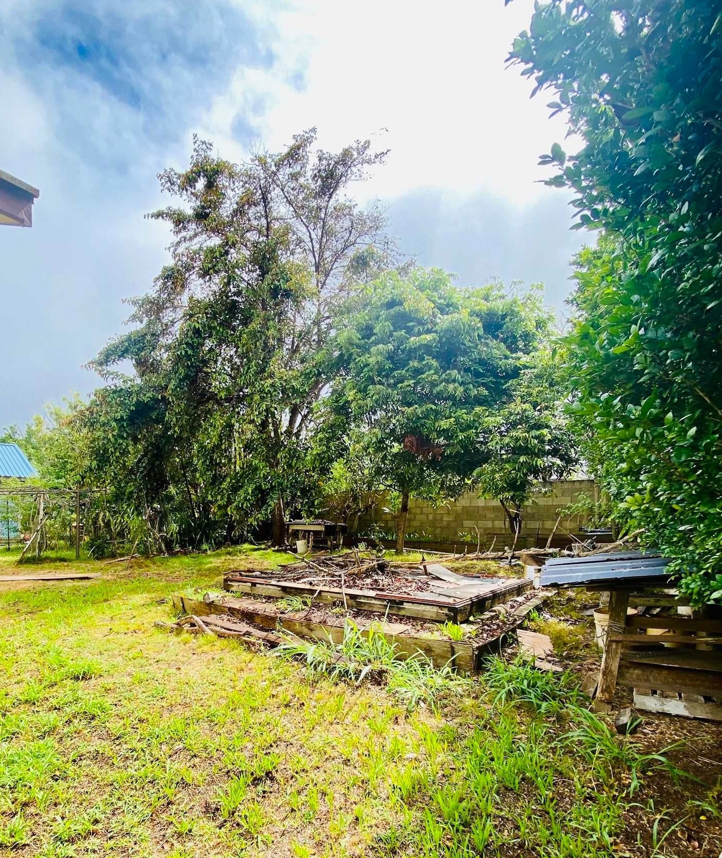 337 Ahakea St