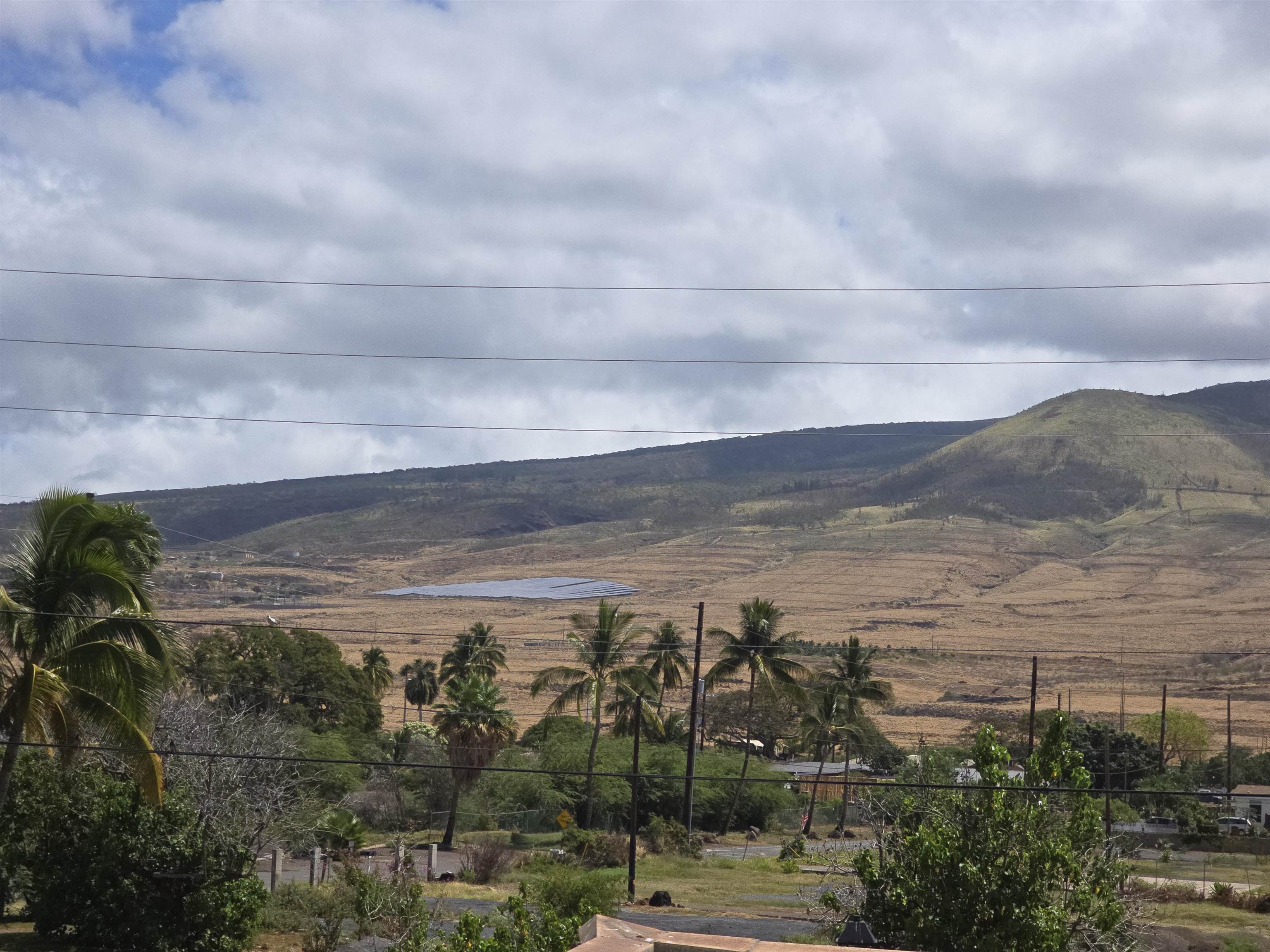 475 Front St Unit: 220