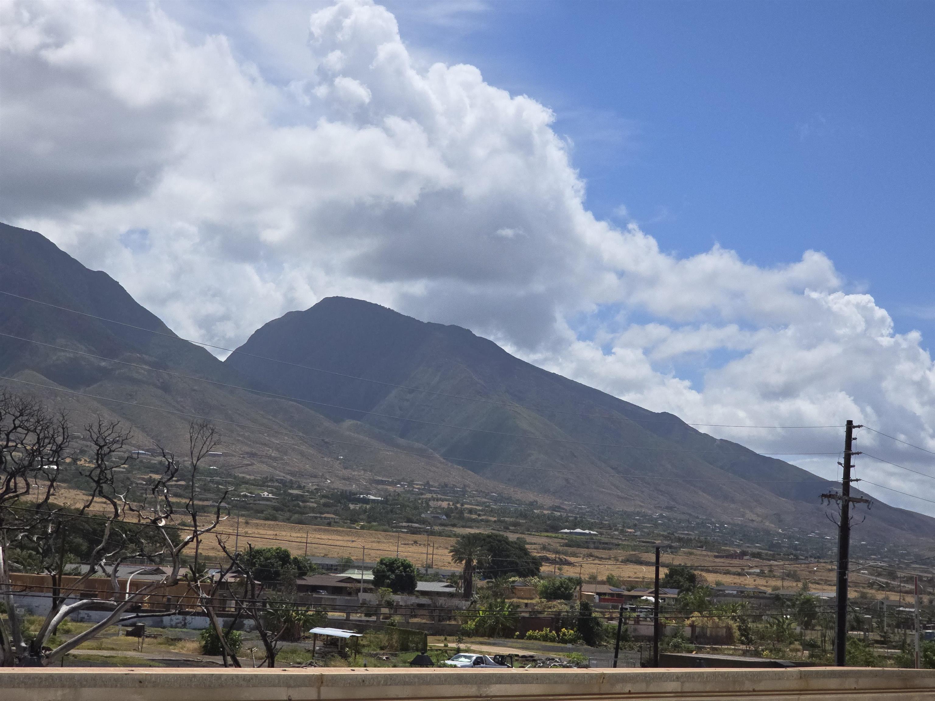 475 Front St Unit: 220