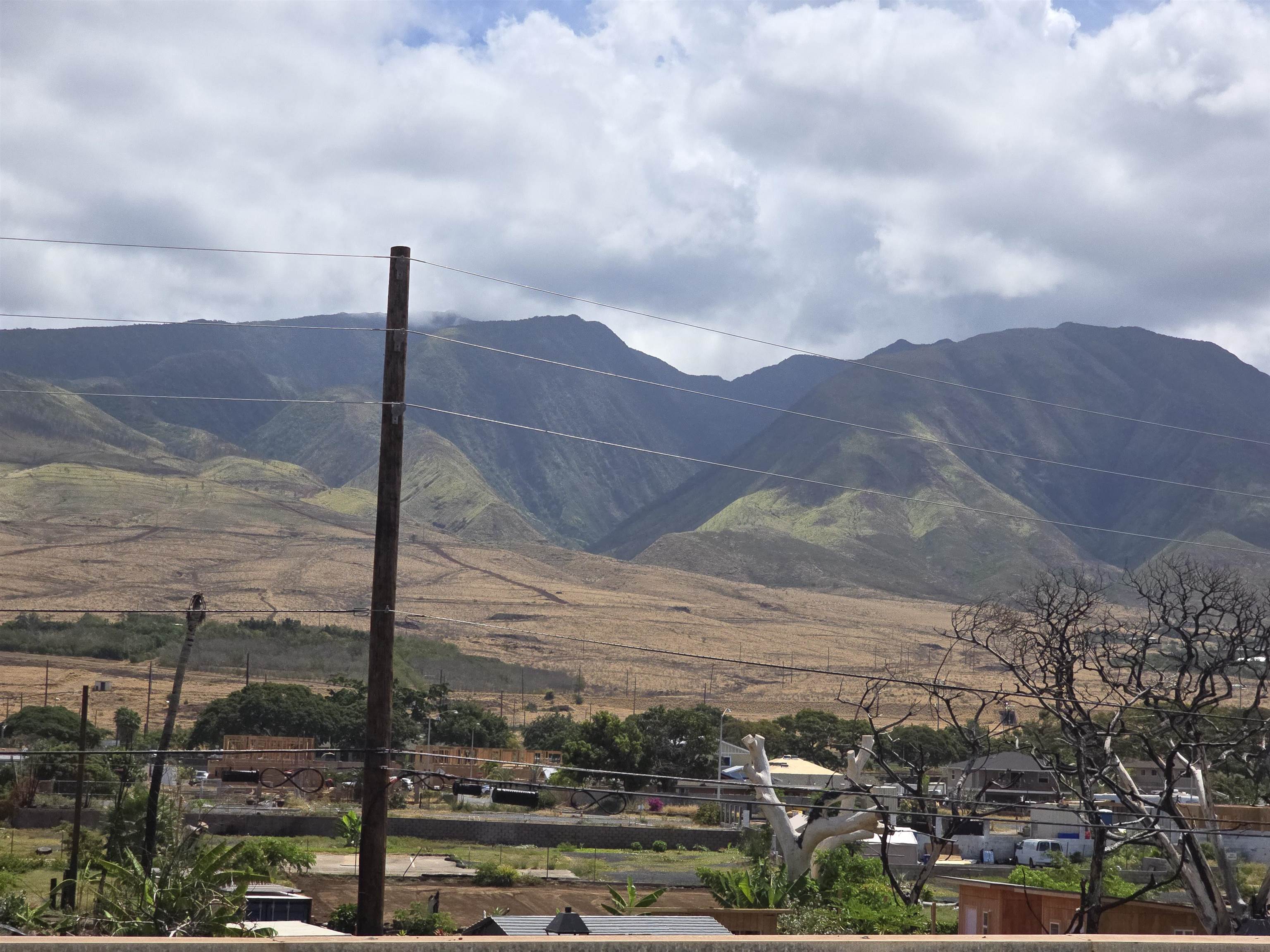 475 Front St Unit: 220