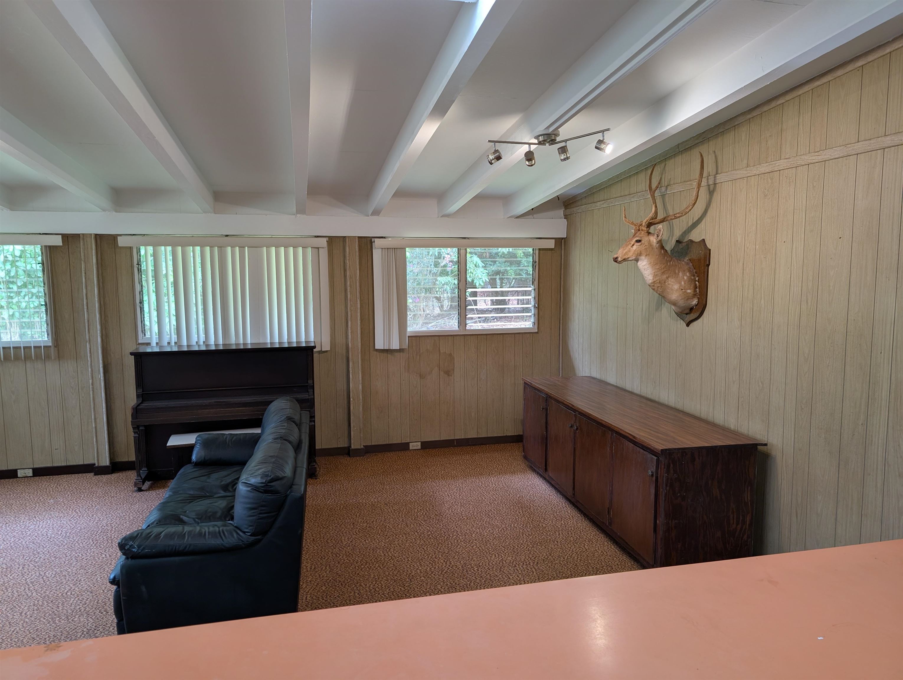 437 Hau Dr