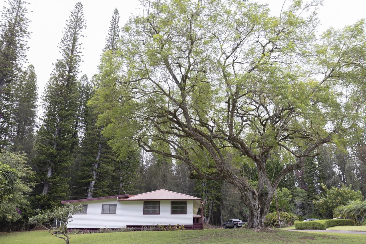 437 Hau Dr
