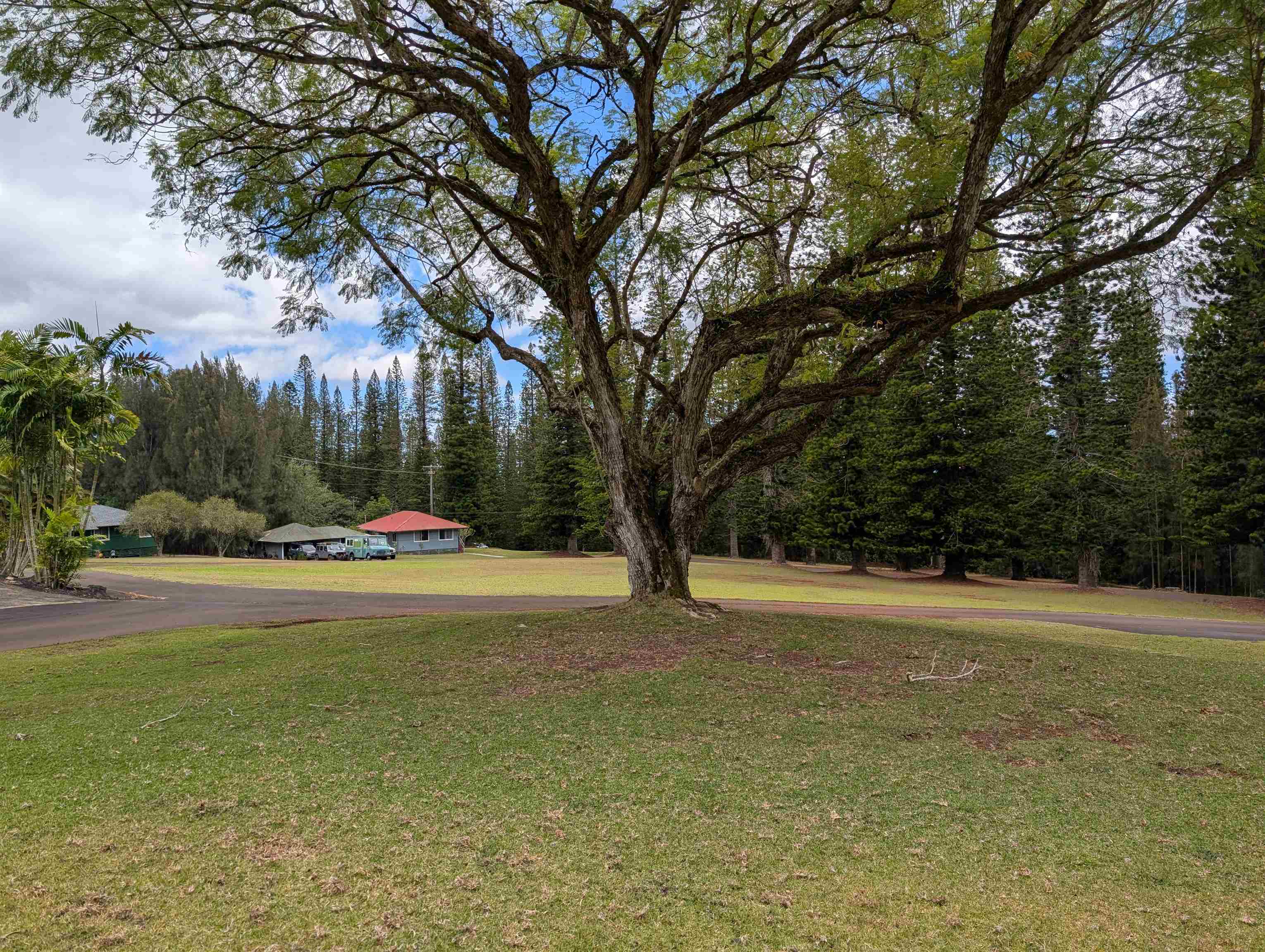 437 Hau Dr