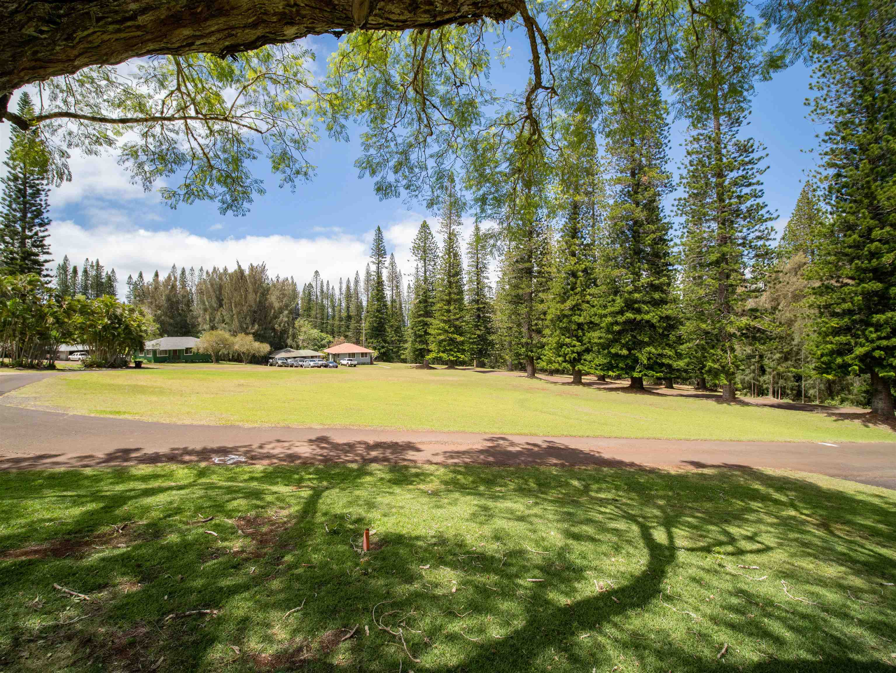 437 Hau Dr