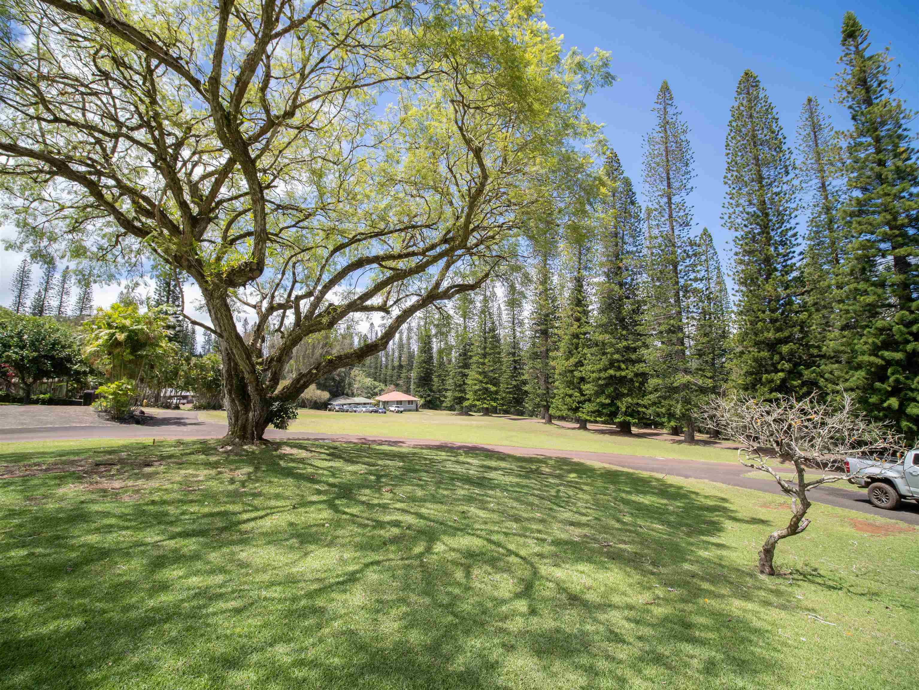 437 Hau Dr