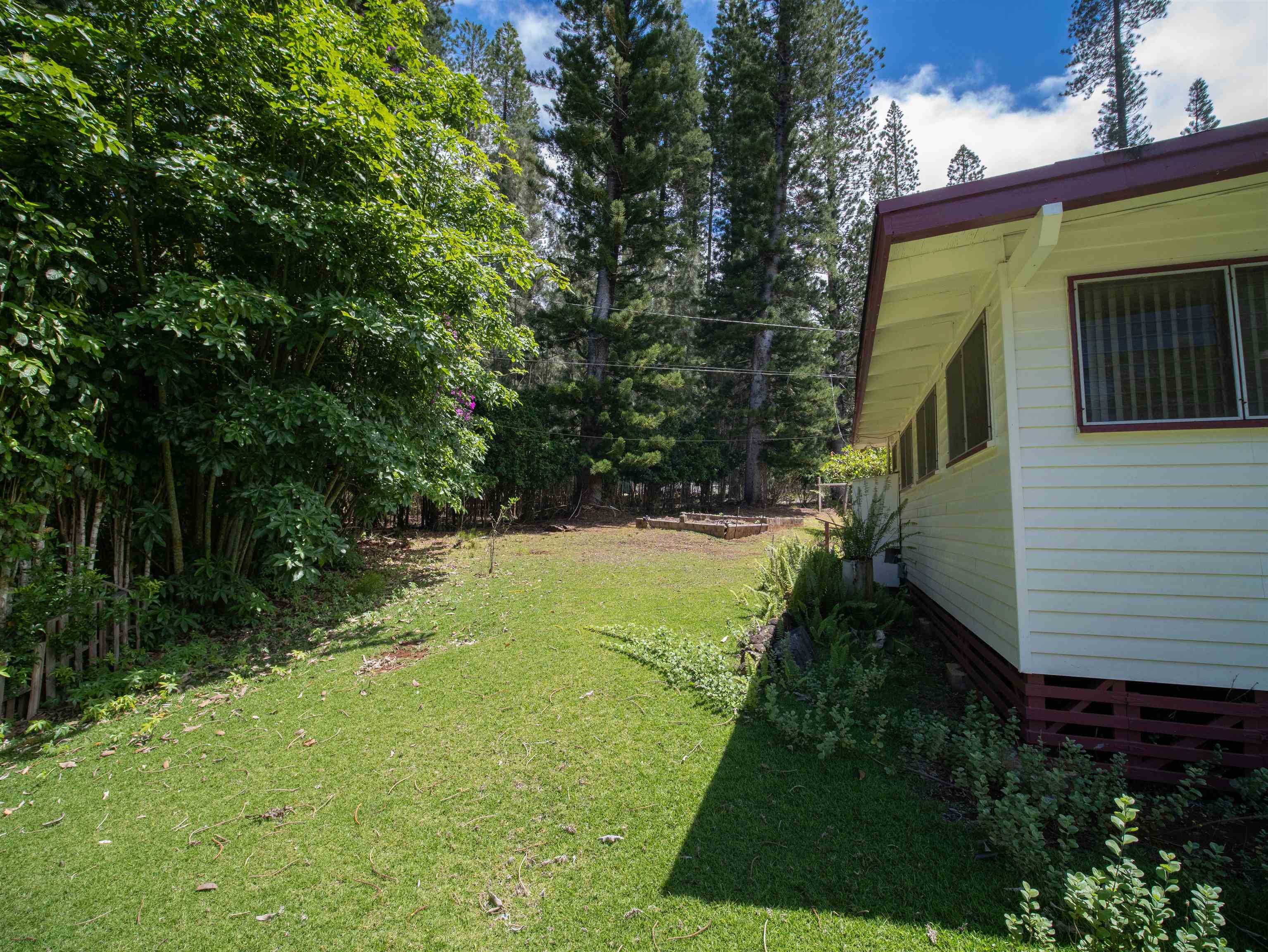 437 Hau Dr