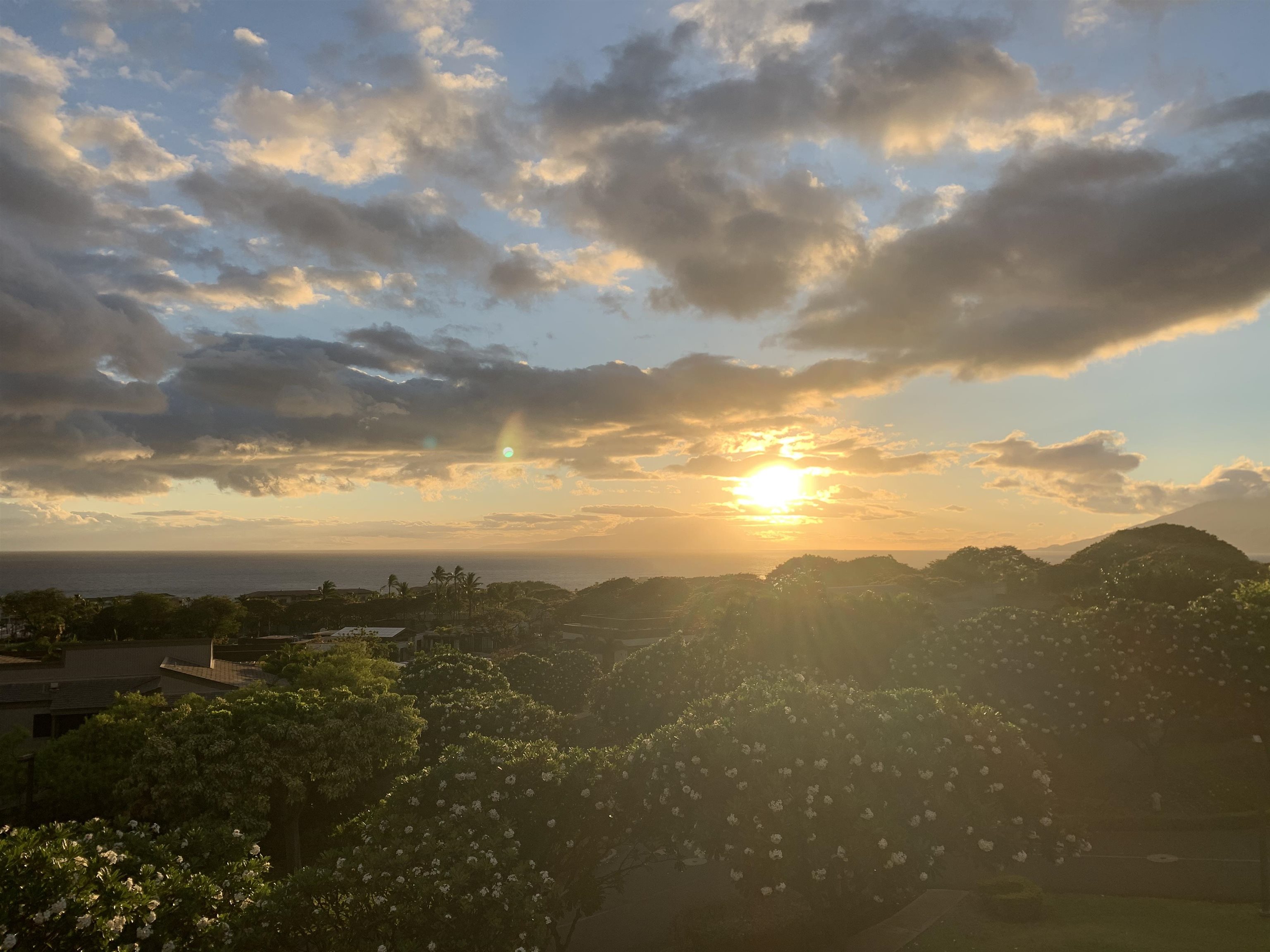 10 WAILEA EKOLU Pl Unit: 506