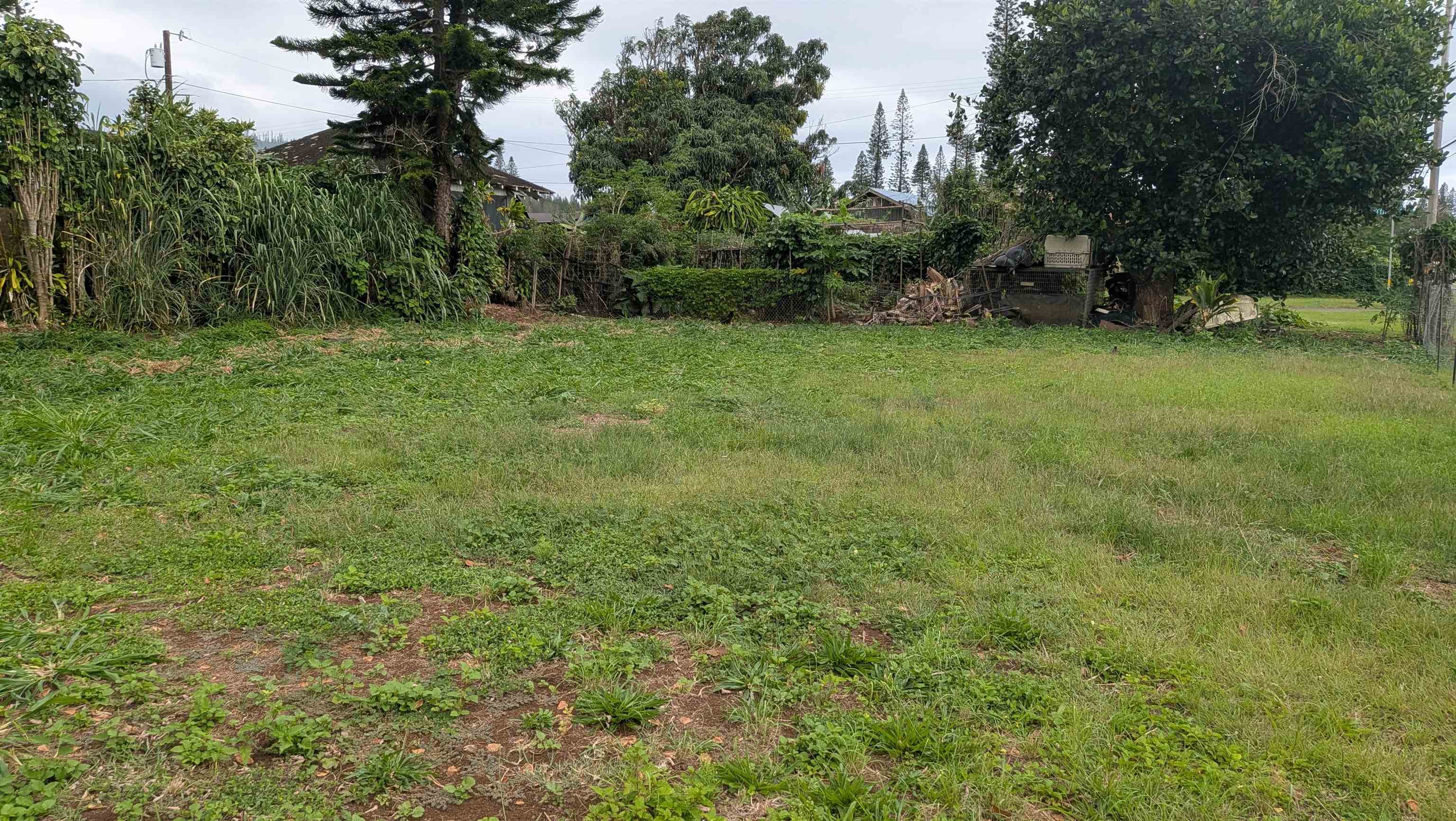 Vacant grassy lot bordered by dense tropical vegetation and large trees, with neighboring homes beyond the fence.