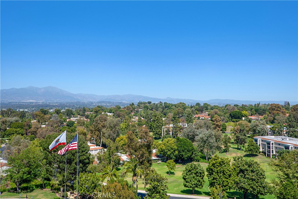 24055 Paseo Del Lago 1062