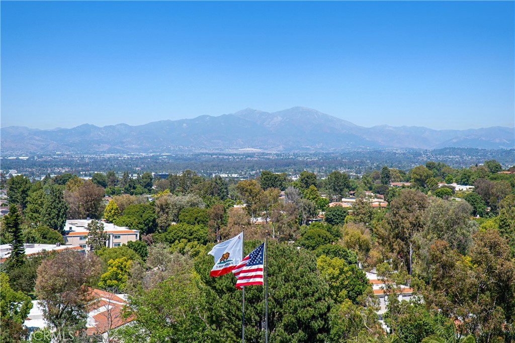 24055 Paseo Del Lago 1062