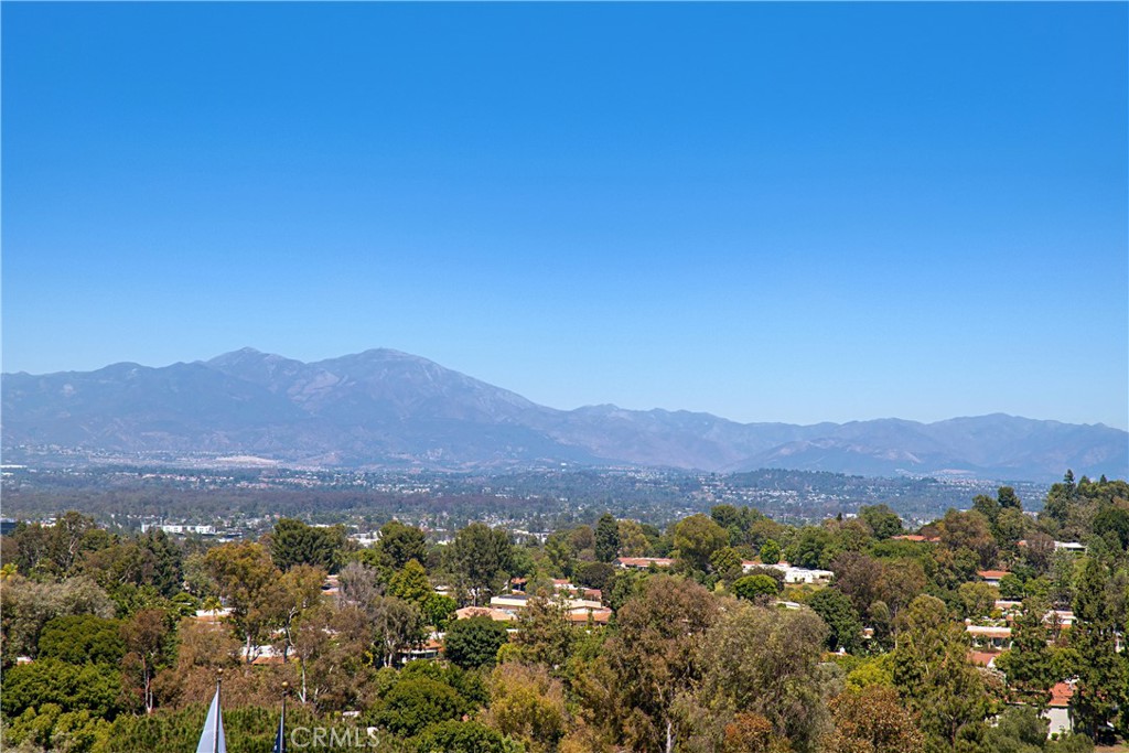 24055 Paseo Del Lago 1062