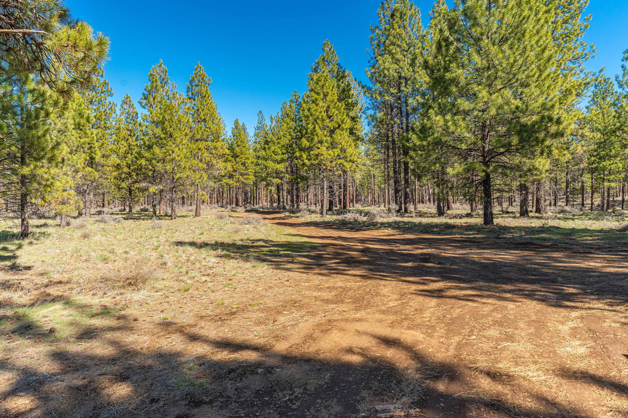 14763 Bluegrass Loop