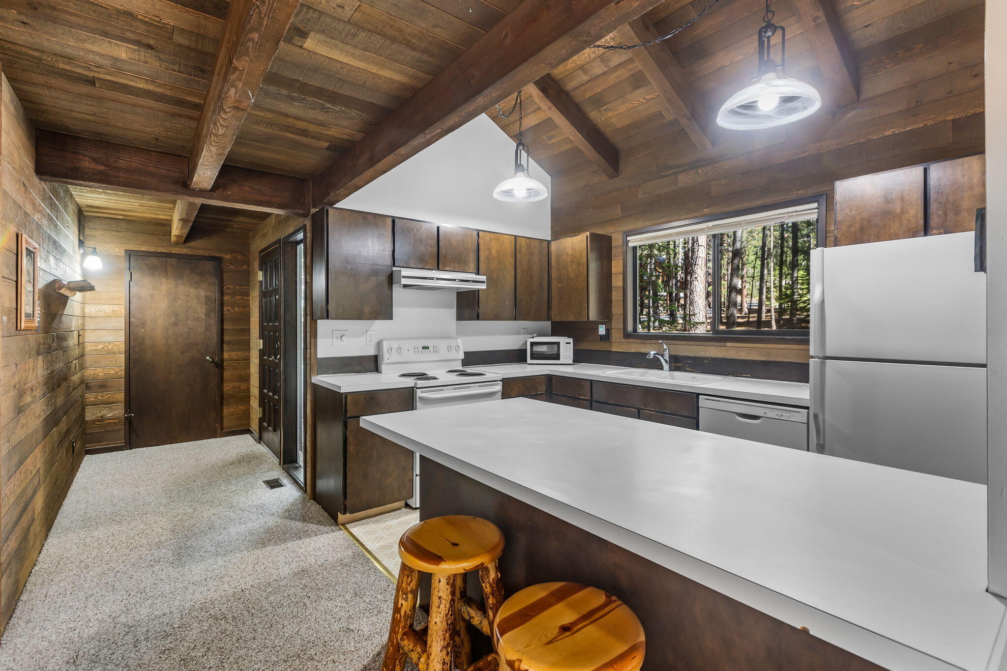 13701 Partridge Foot, RR83