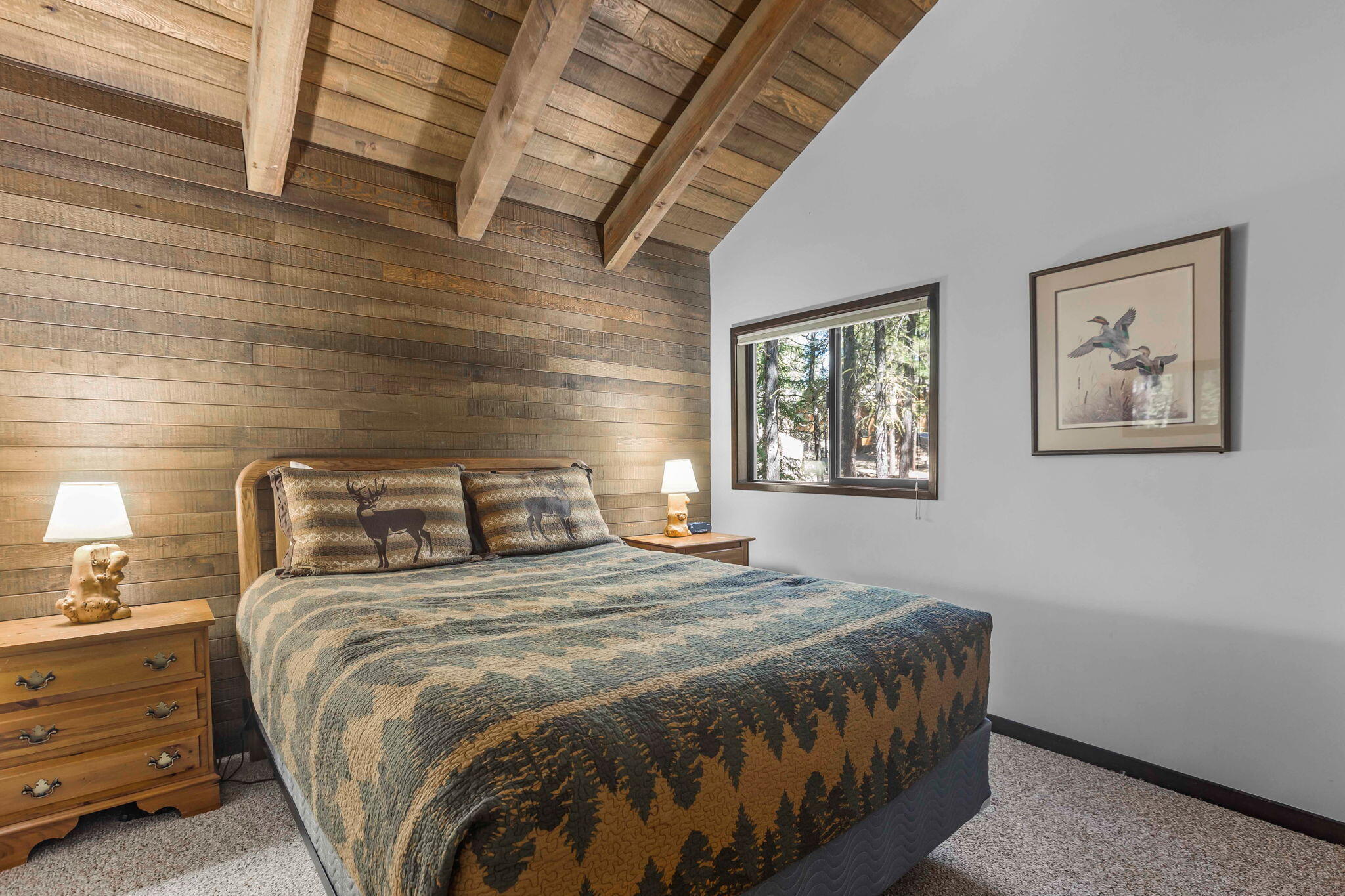 13701 Partridge Foot, RR83