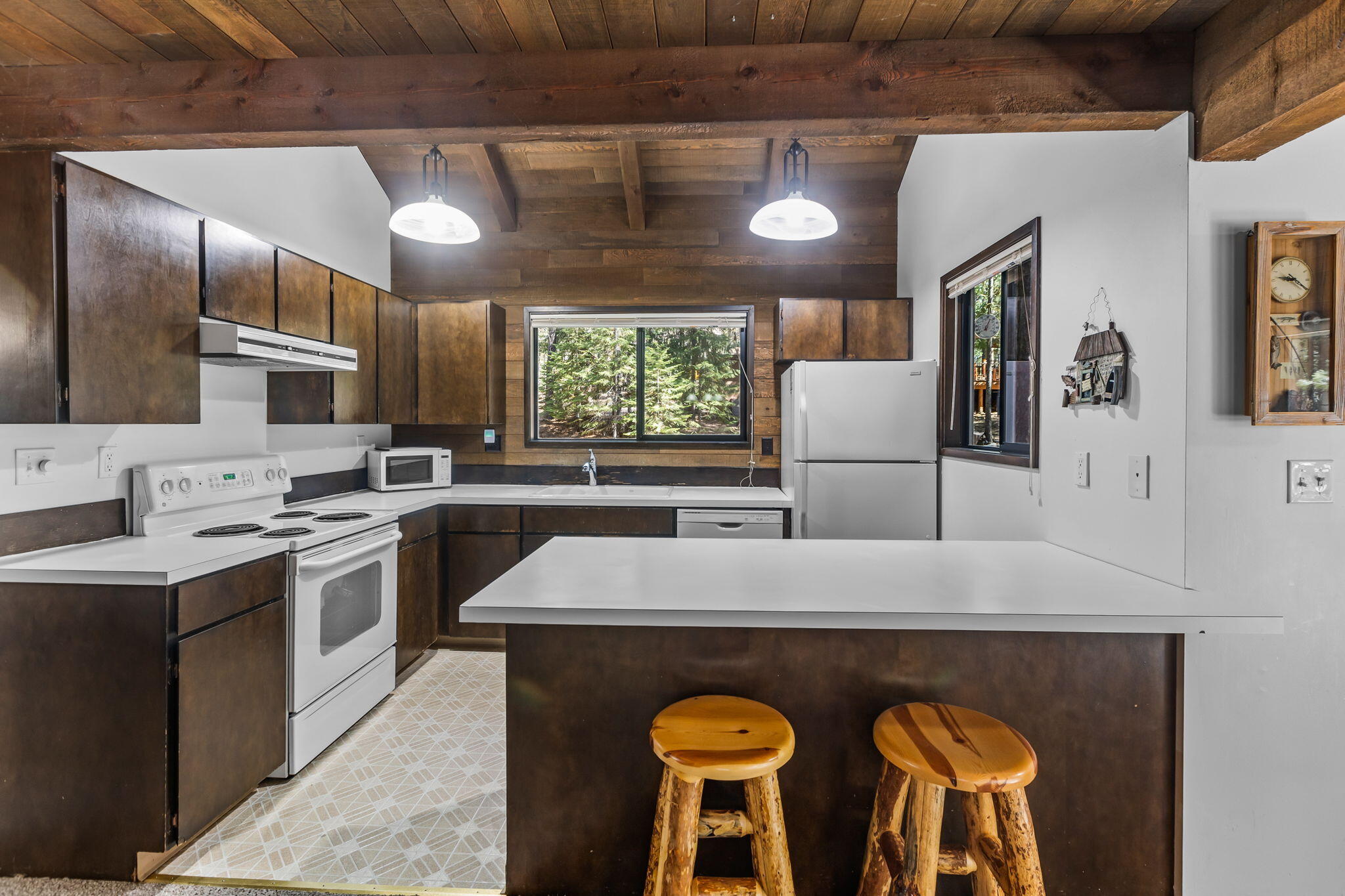 13701 Partridge Foot, RR83