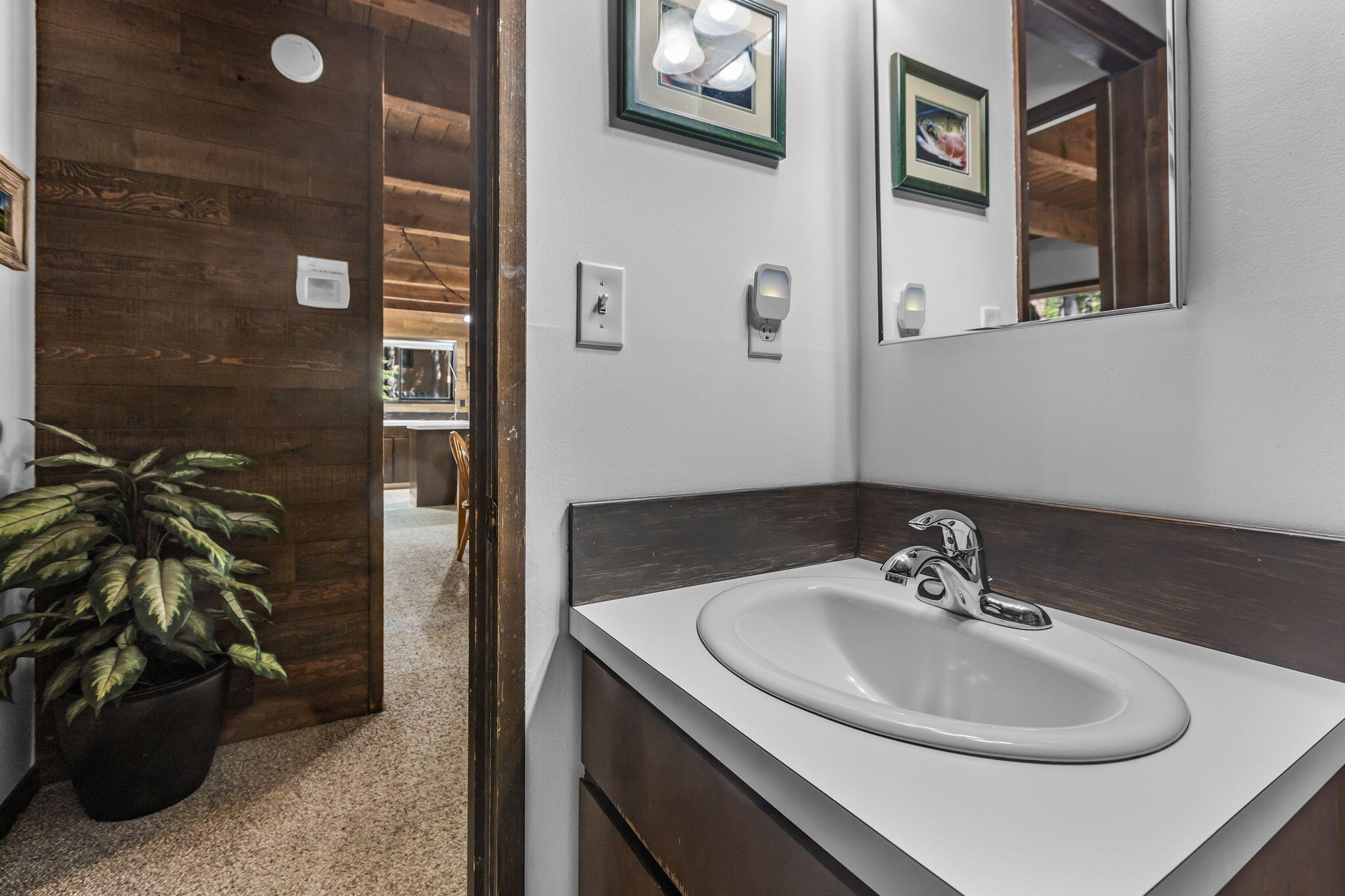 13701 Partridge Foot, RR83