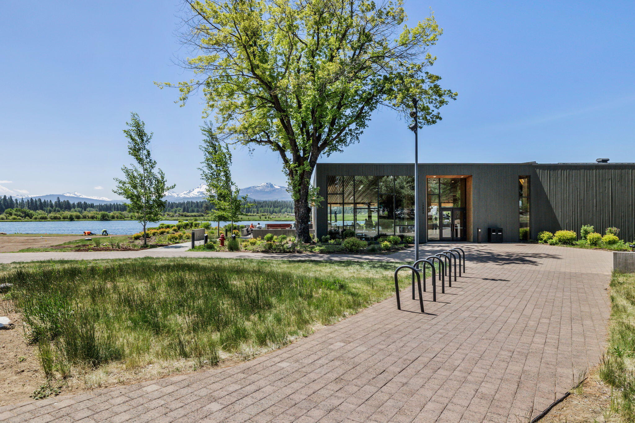 13701 Partridge Foot, RR83