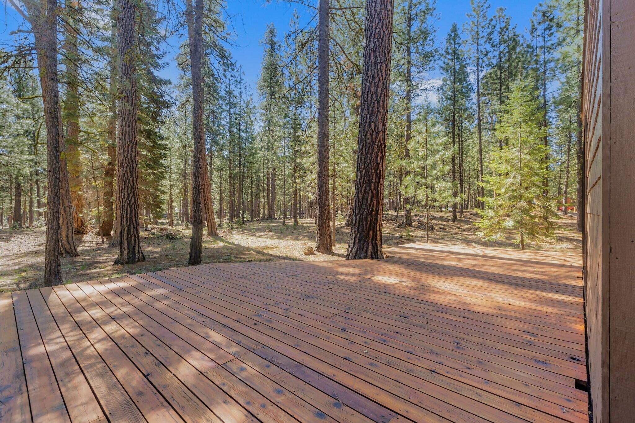 13701 Partridge Foot, RR83