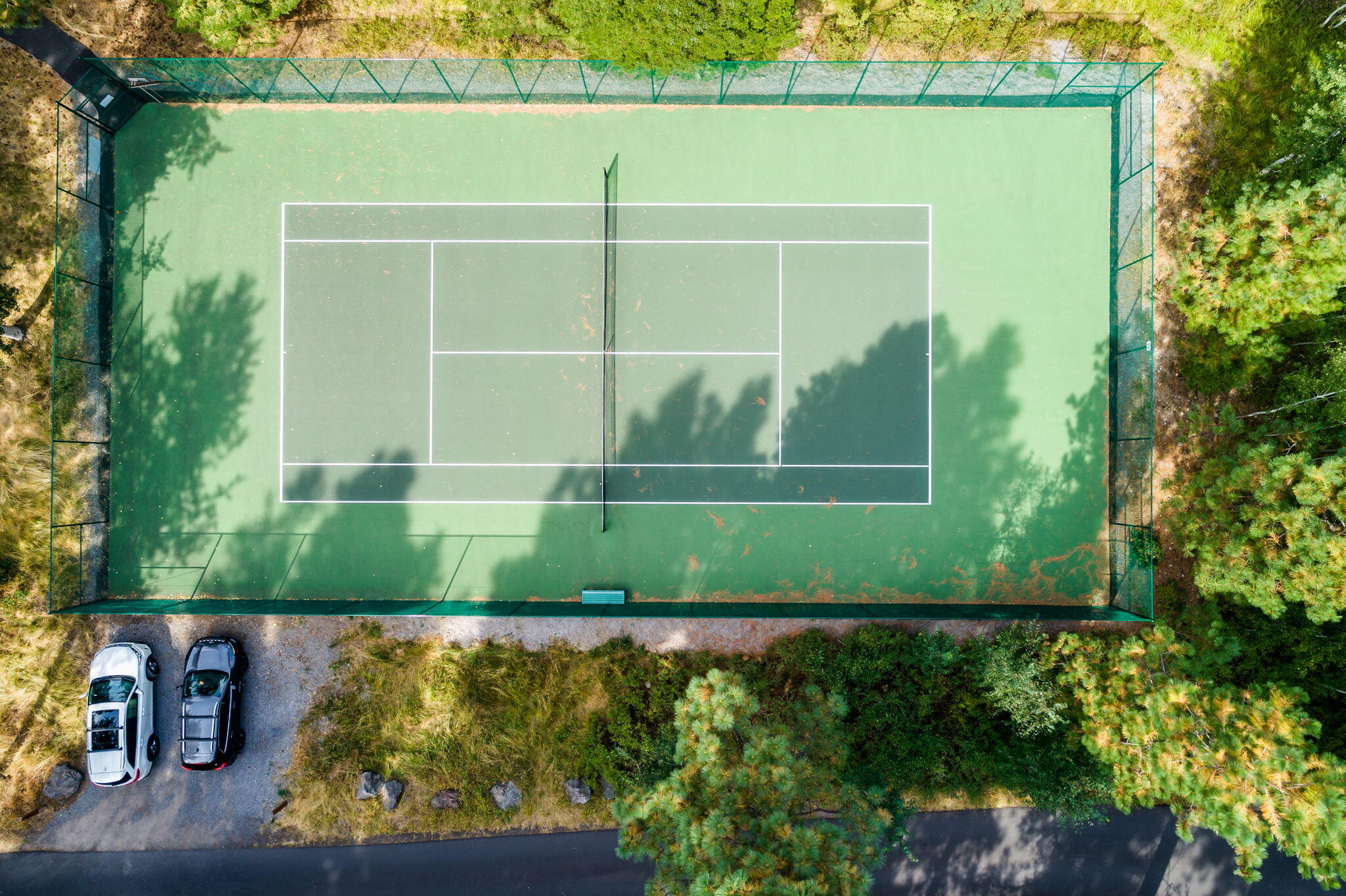 13701 Partridge Foot, RR83